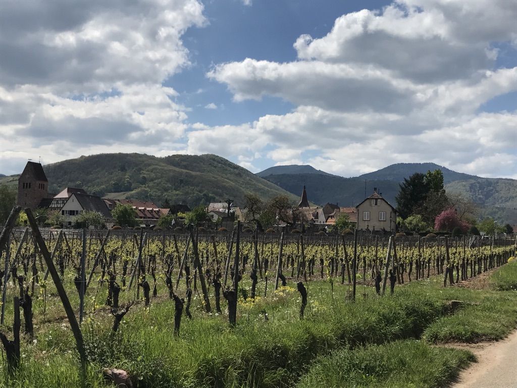 Kientzheim
