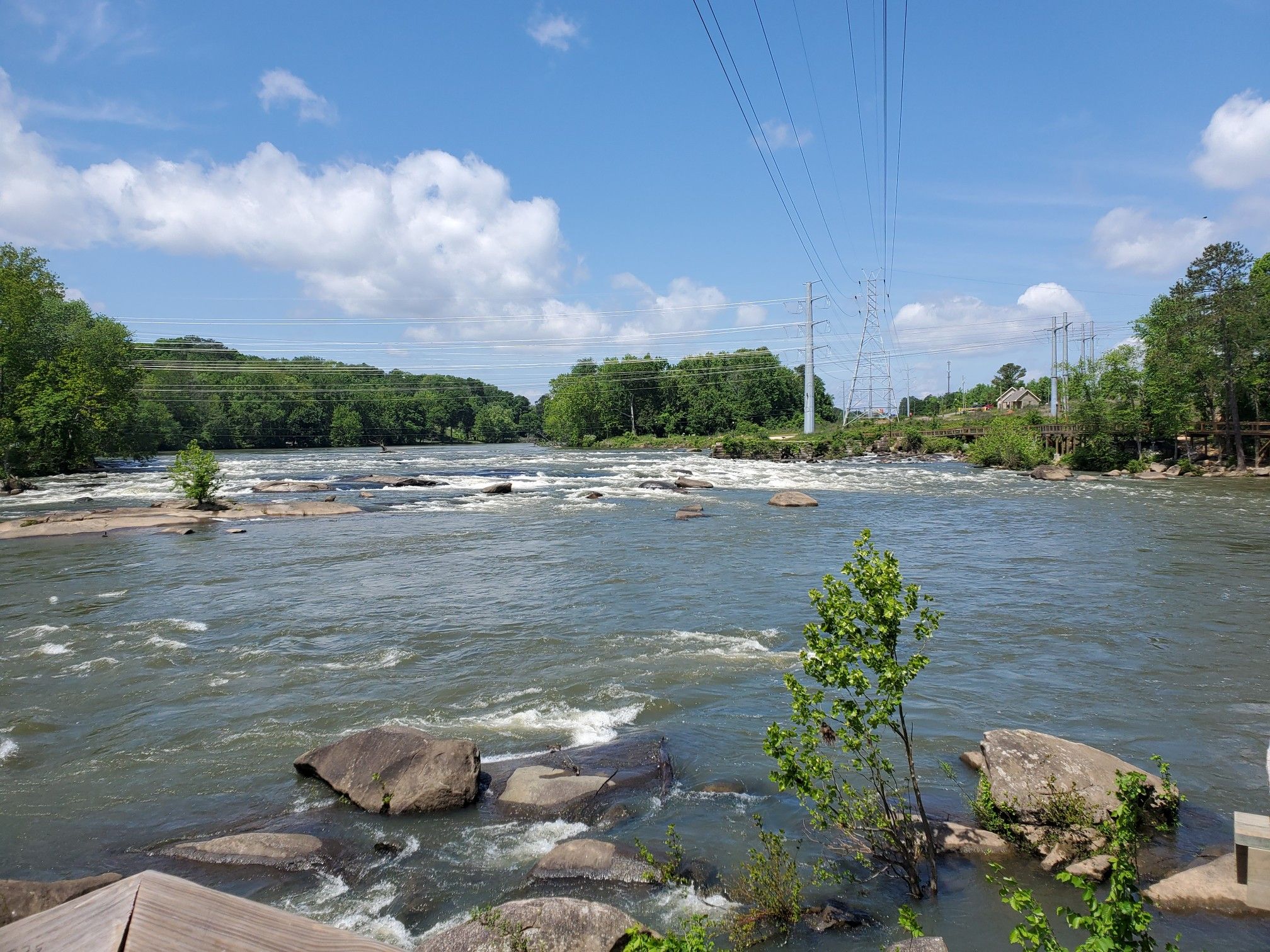 Wide river with rapids, green trees, and power lines under a blue sky. - Saluda Riverwalk – Saluda Riverwalk loop from Riverbanks Zoo