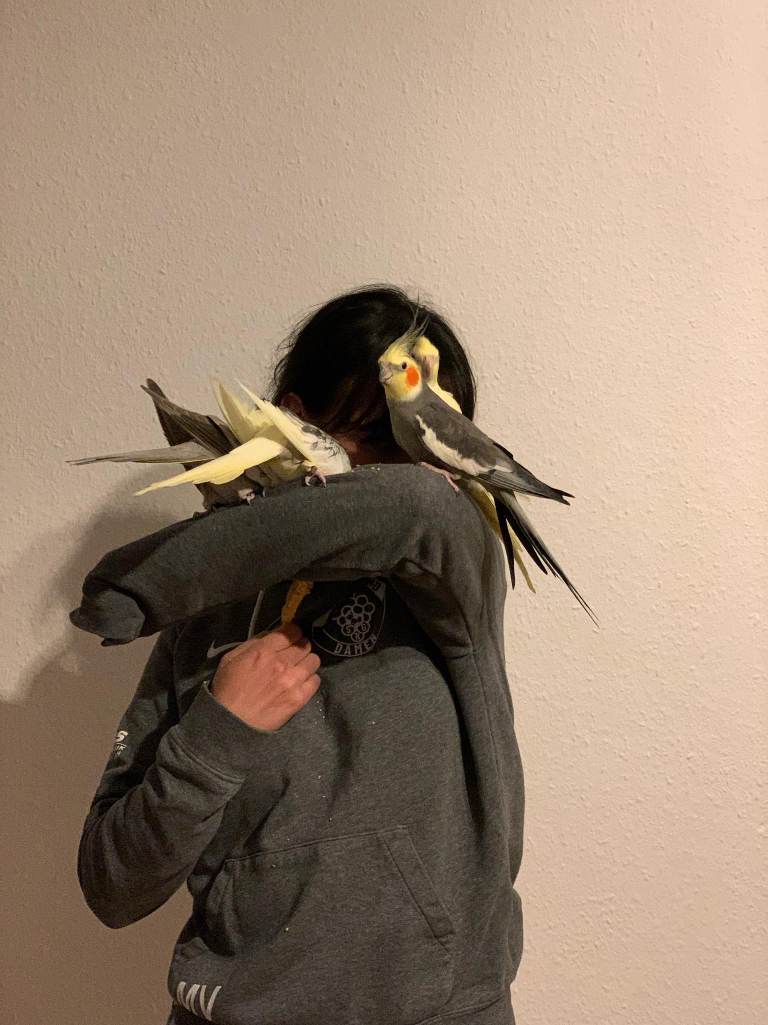 user avatar