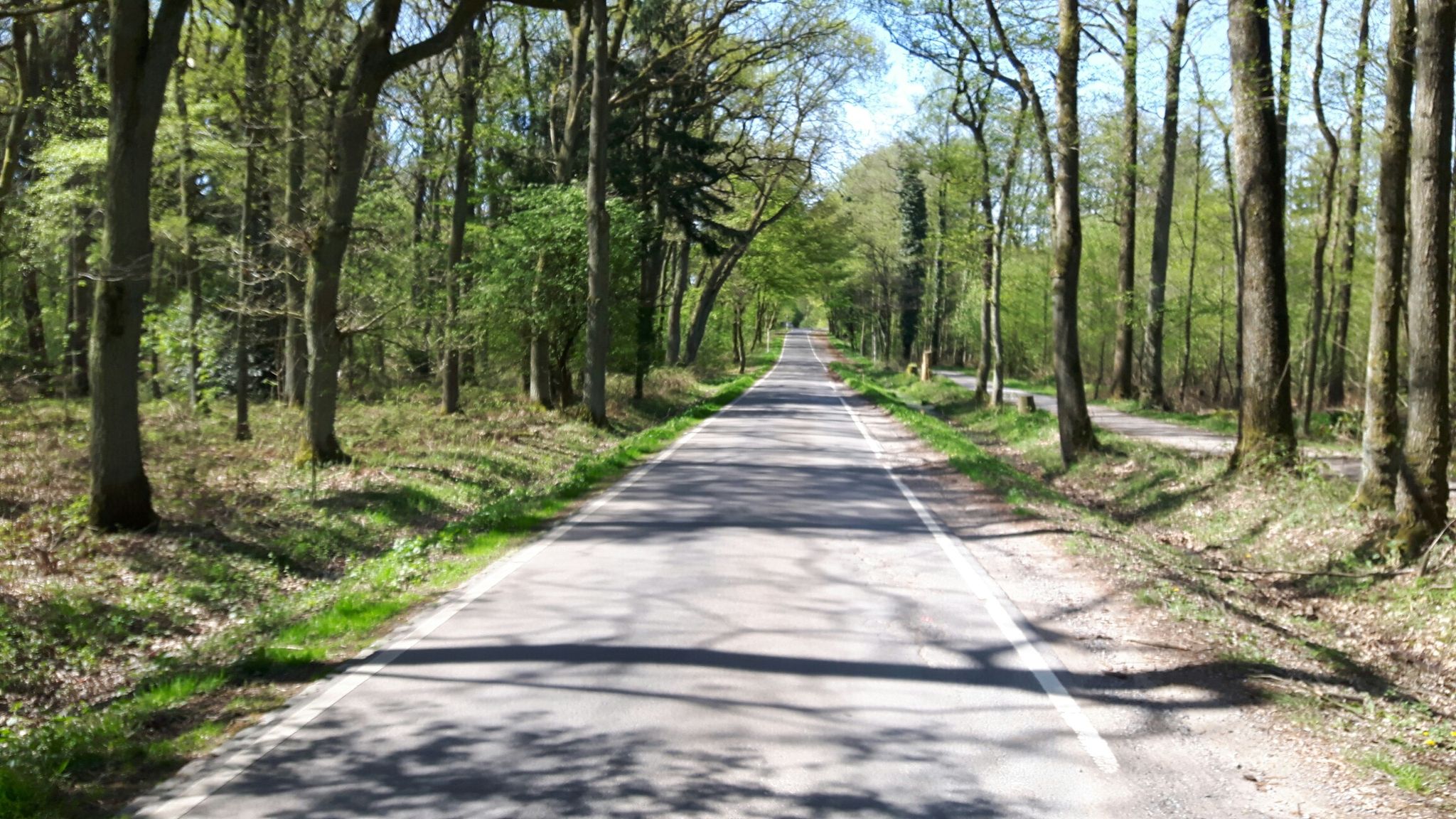 Die Straße ist frei!