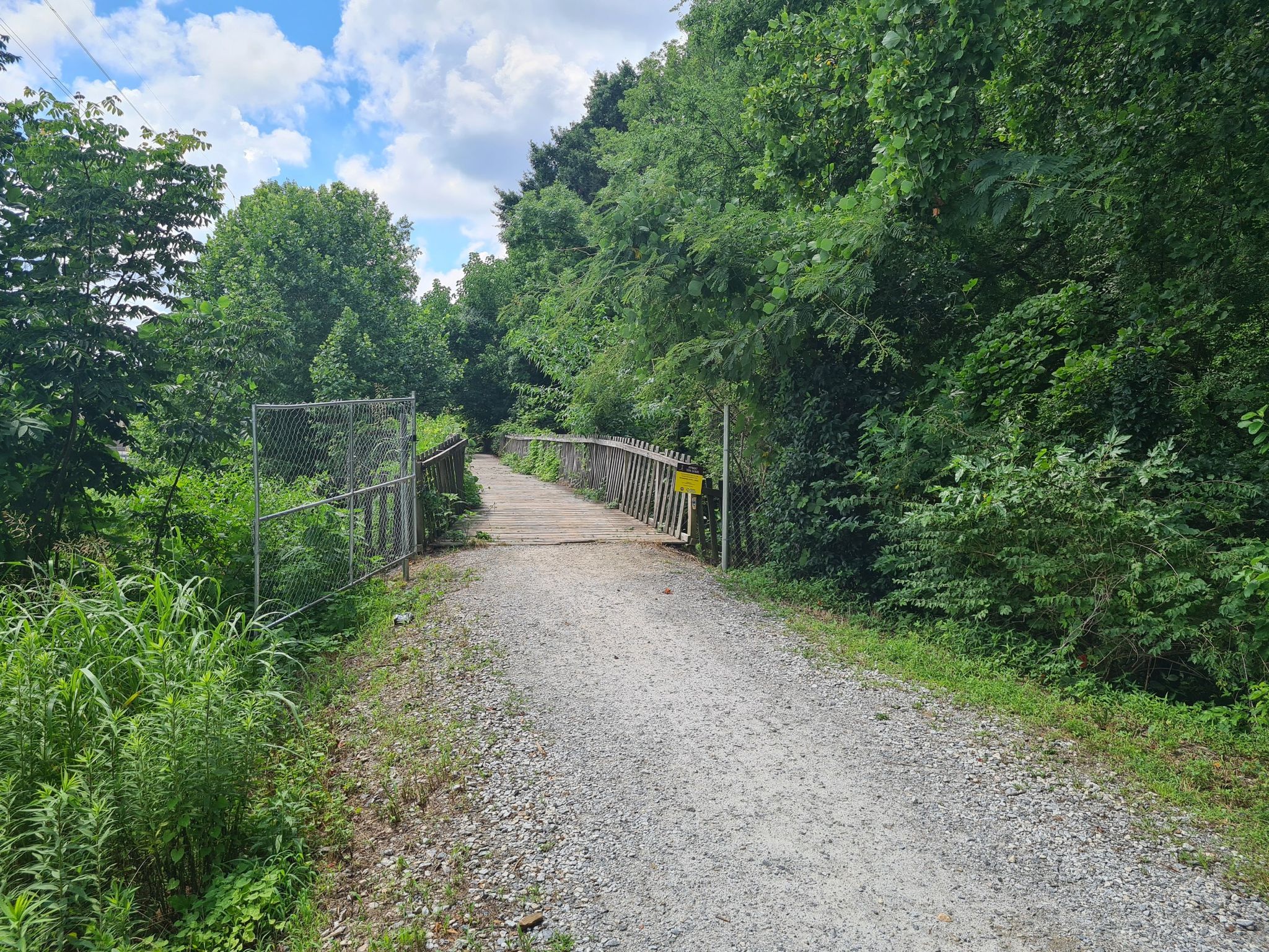 Gravel path leading to a wooden bridge through dense green forest. - Freedom Park Pathway – Piedmont Park loop from Decatur