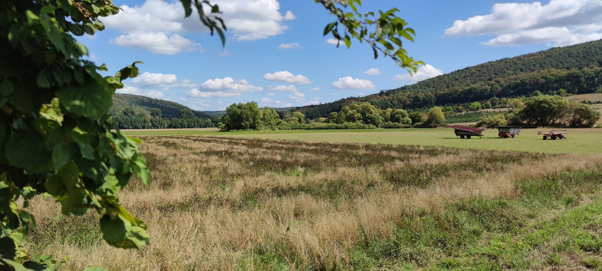 Landwirtschaftl. Idylle