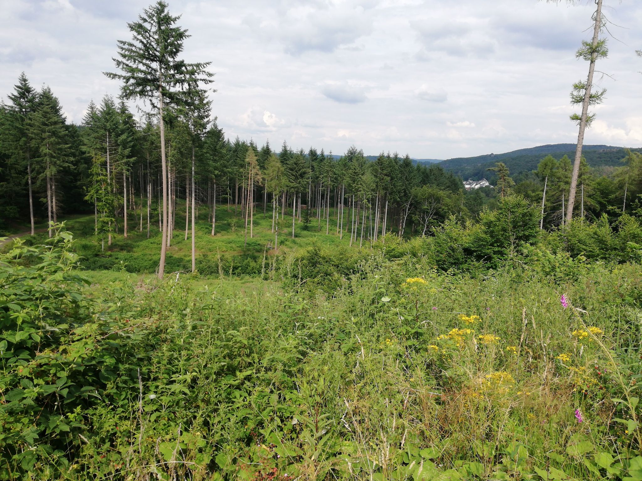 Ausblick 