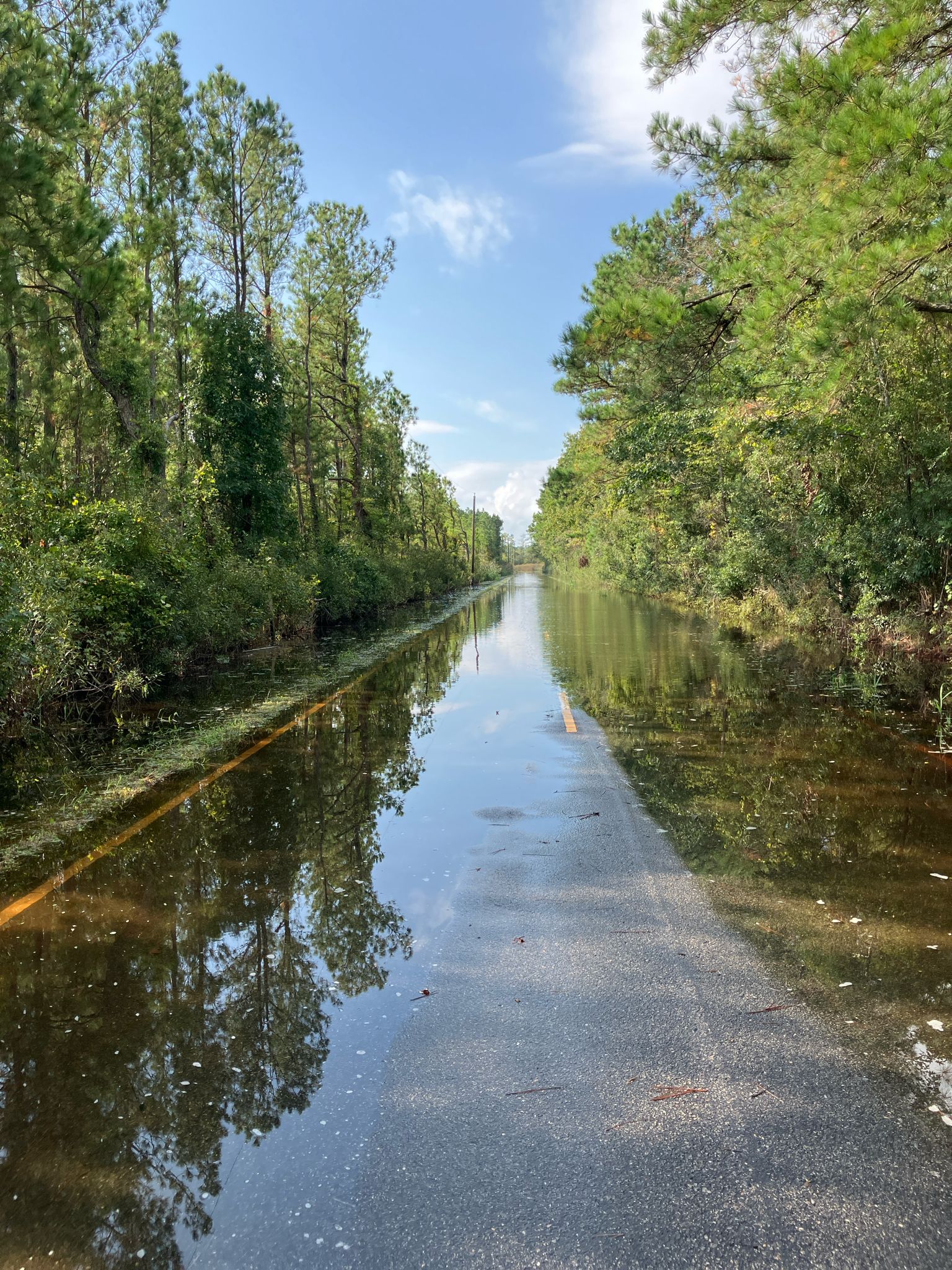A flooded paved road surrounded by tall pine trees under a bright sky. - East and West Dike Trail Loop
