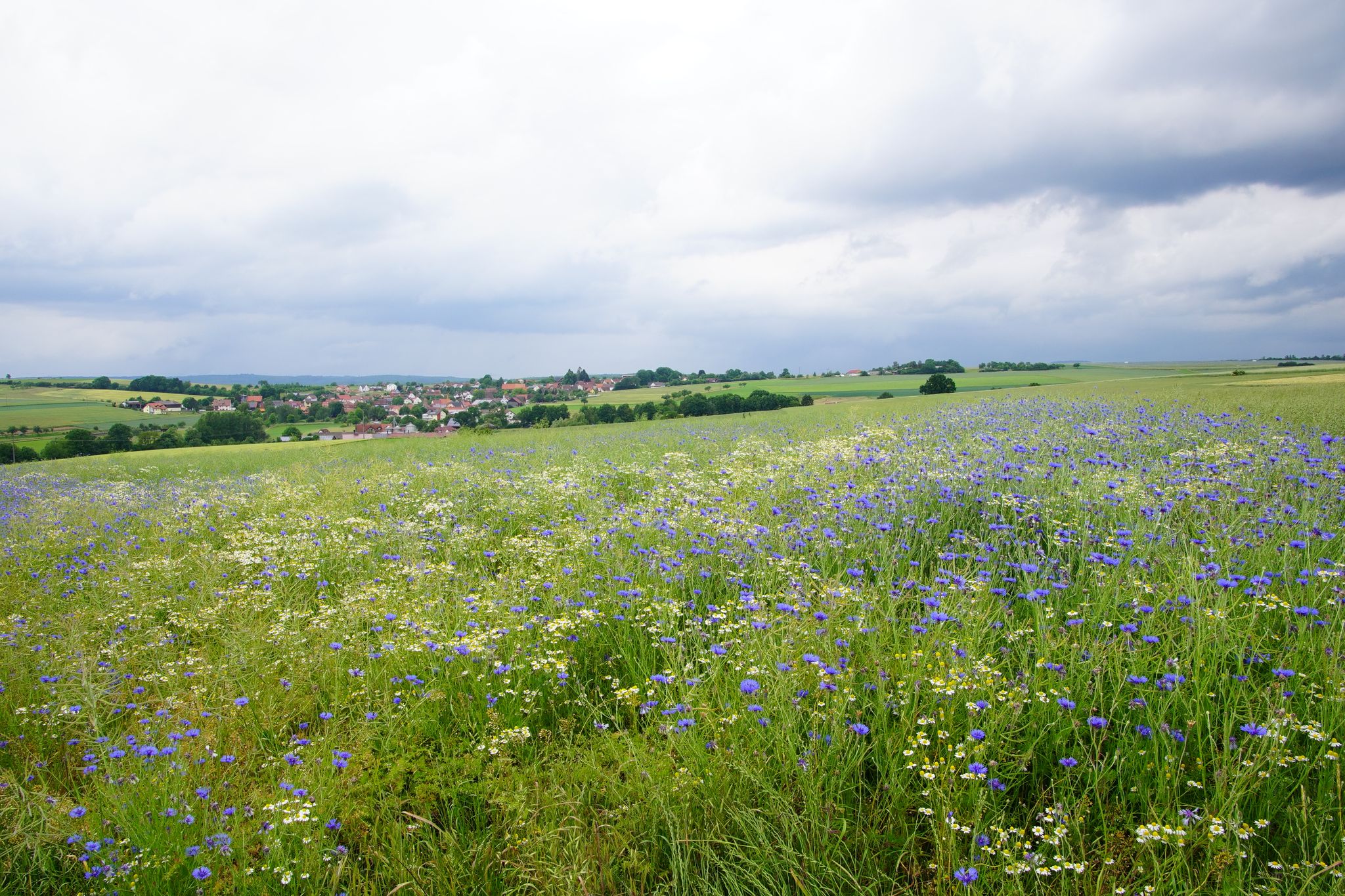 Blick Richtung Völkersleier