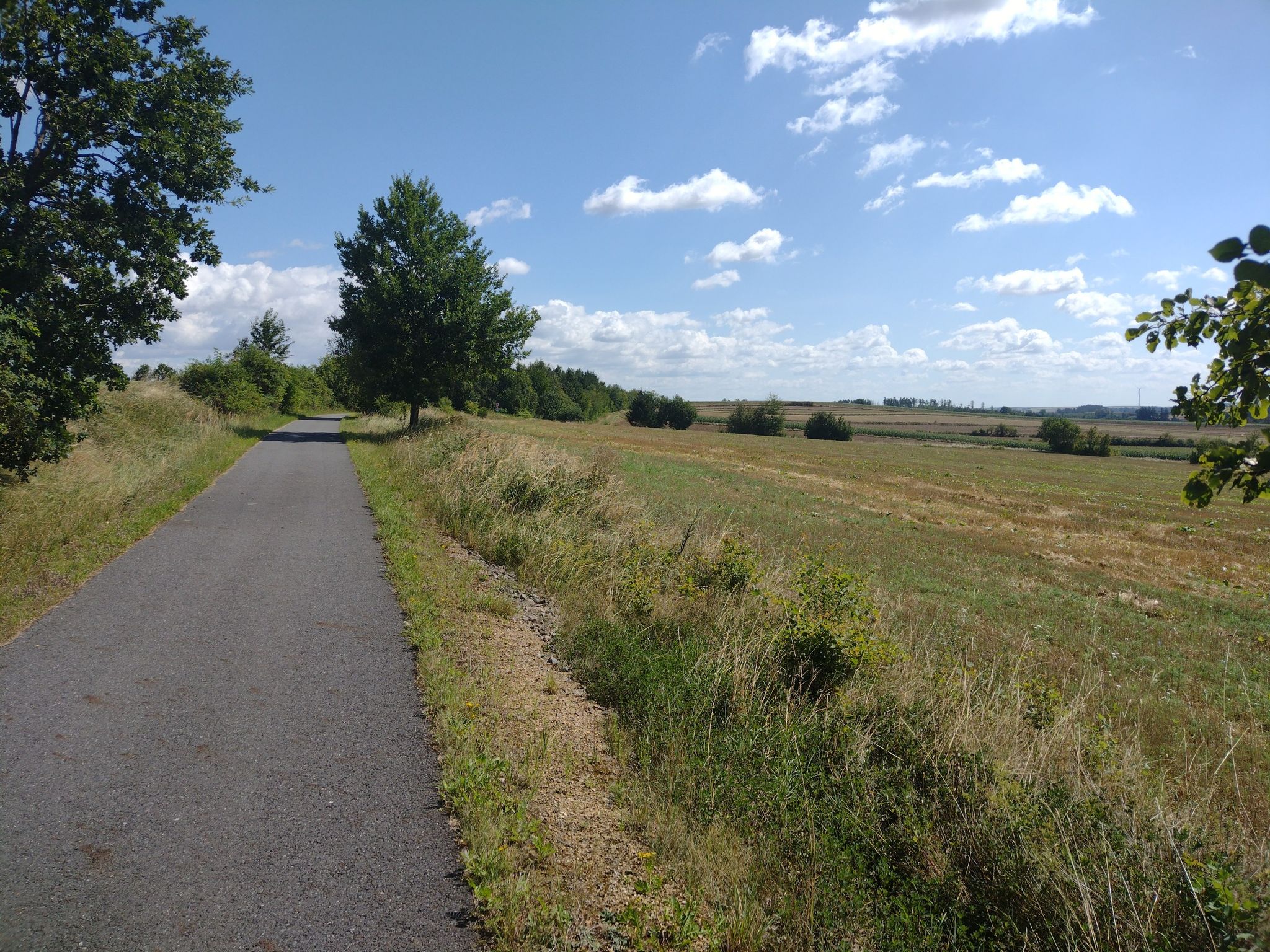 Blick vom Radweg in die umliegenden Felder.
