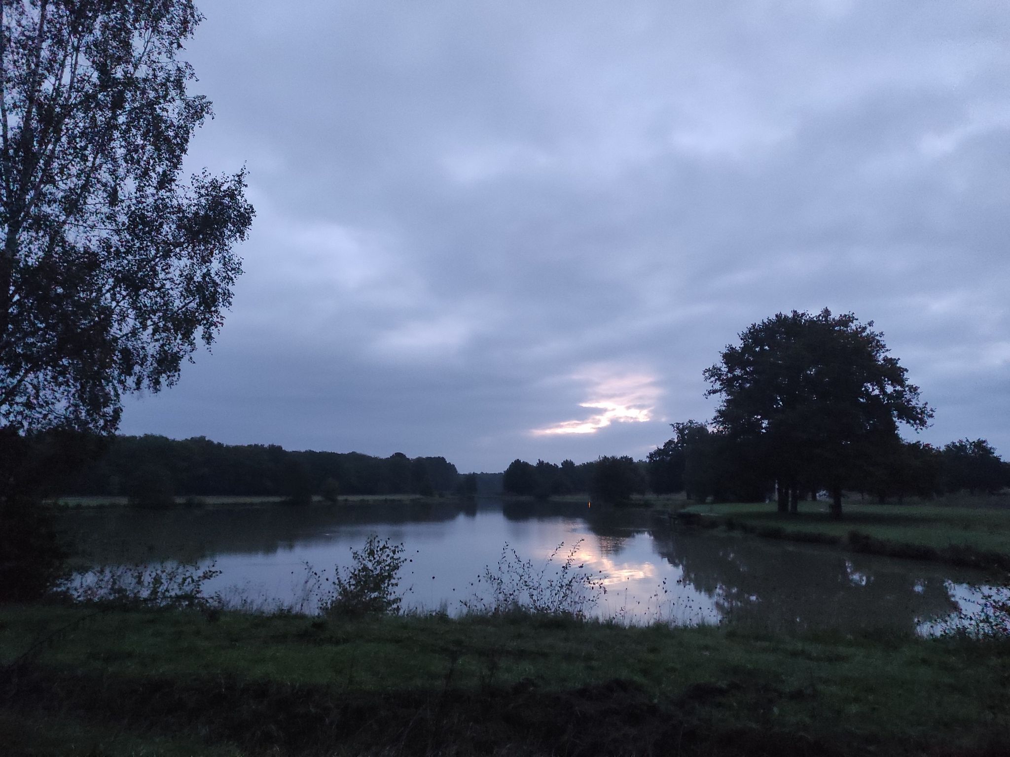 Étang menestreau