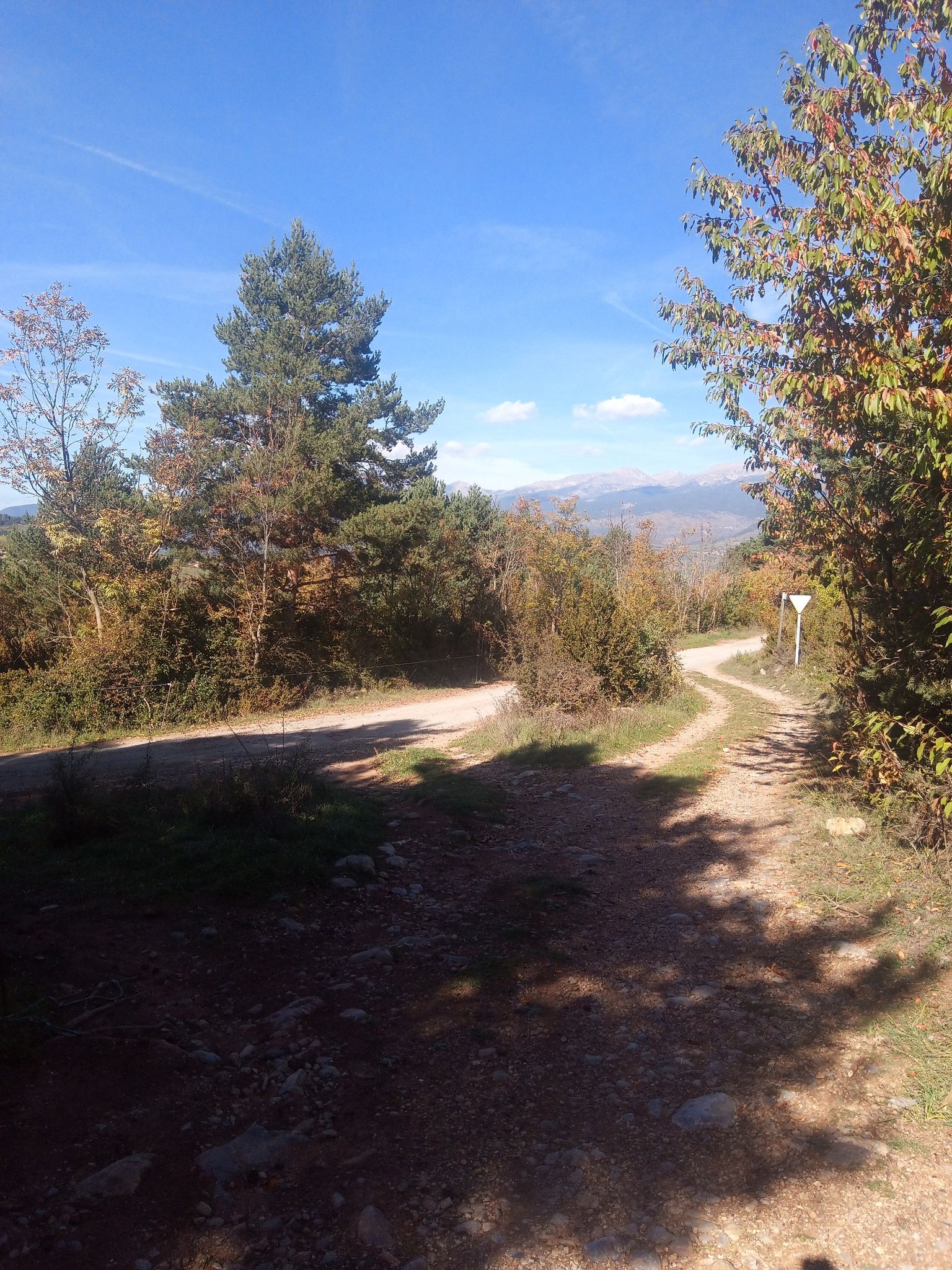 llegamos a la carretera y giramos a la izquierda para llegar a Cortariu