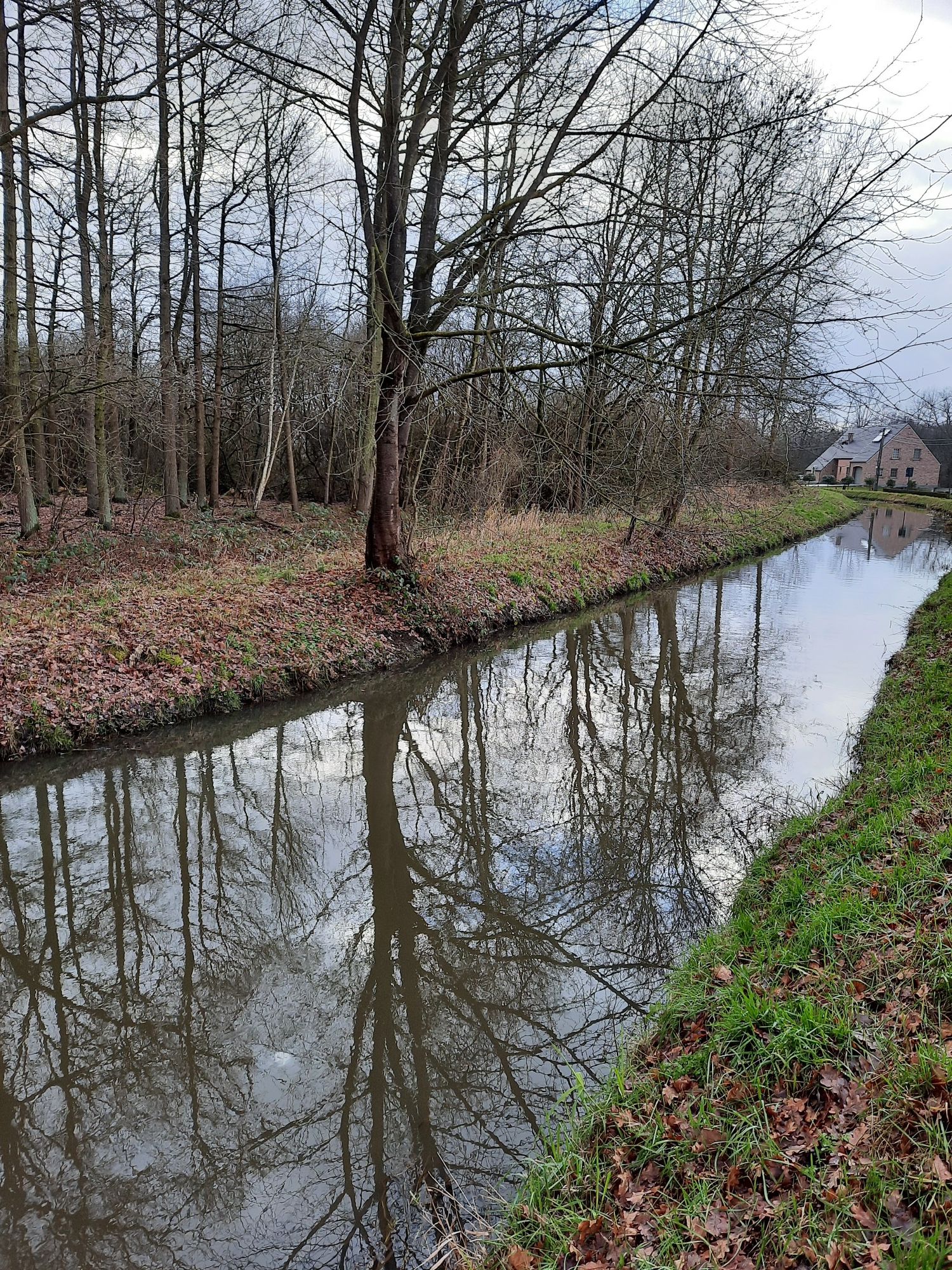 de grote Motte