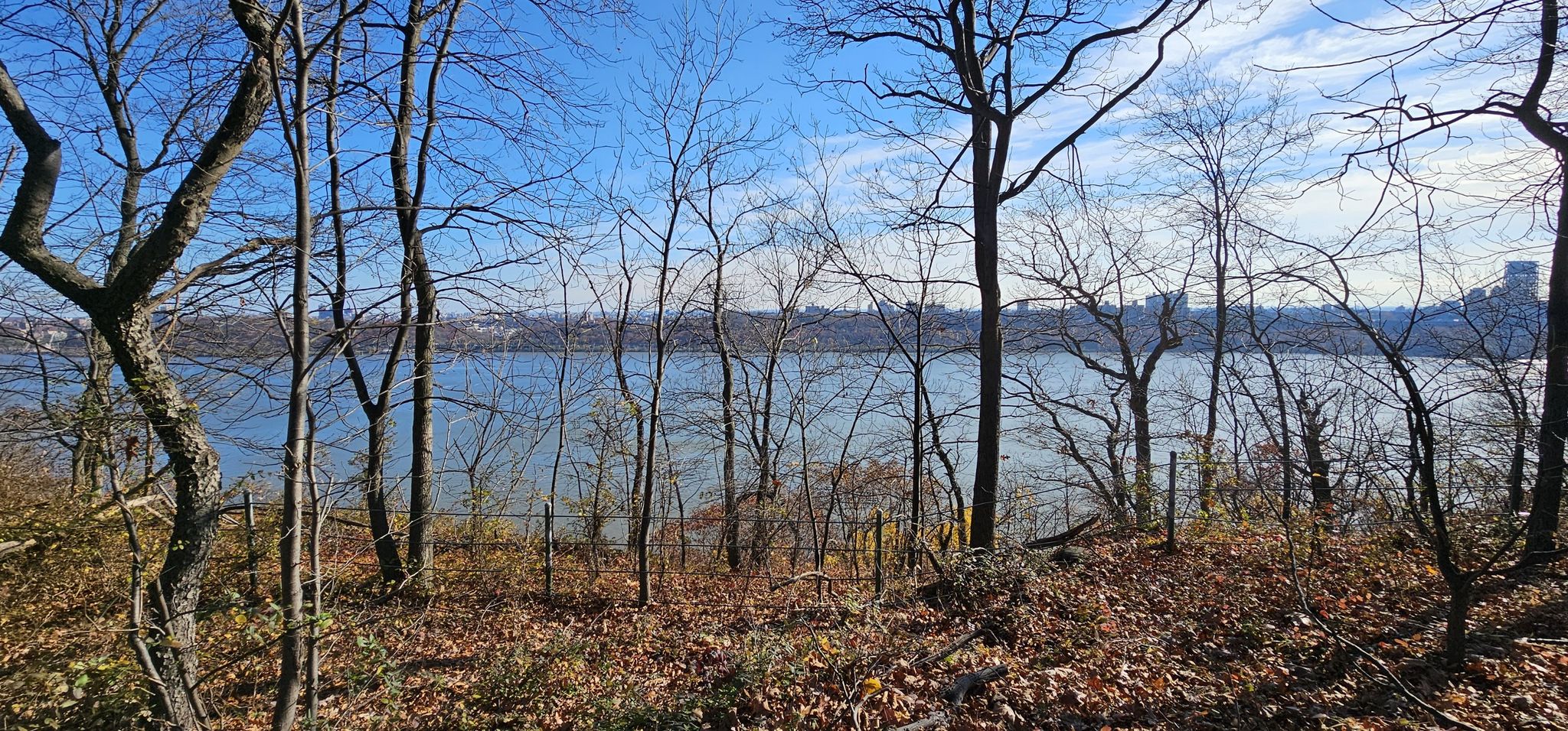 Bare trees frame a wide river and distant city under a clear blue sky. - Long Path