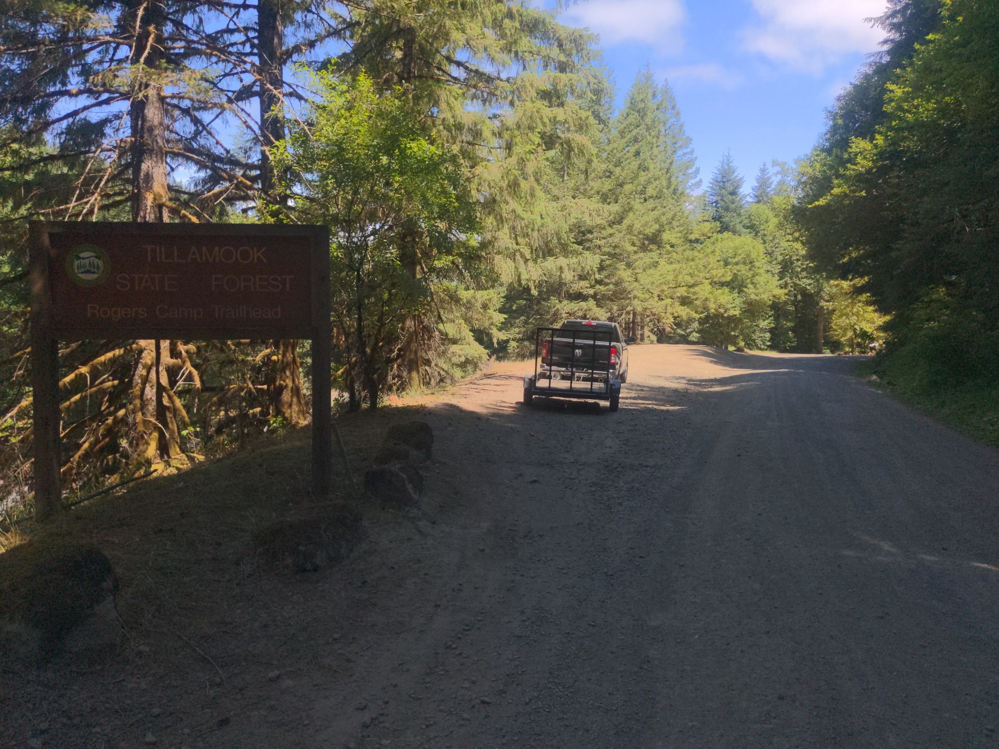 A dirt road leading into a sunny forest with a parked vehicle. - Gales Creek and Storey Burn Trail Loop