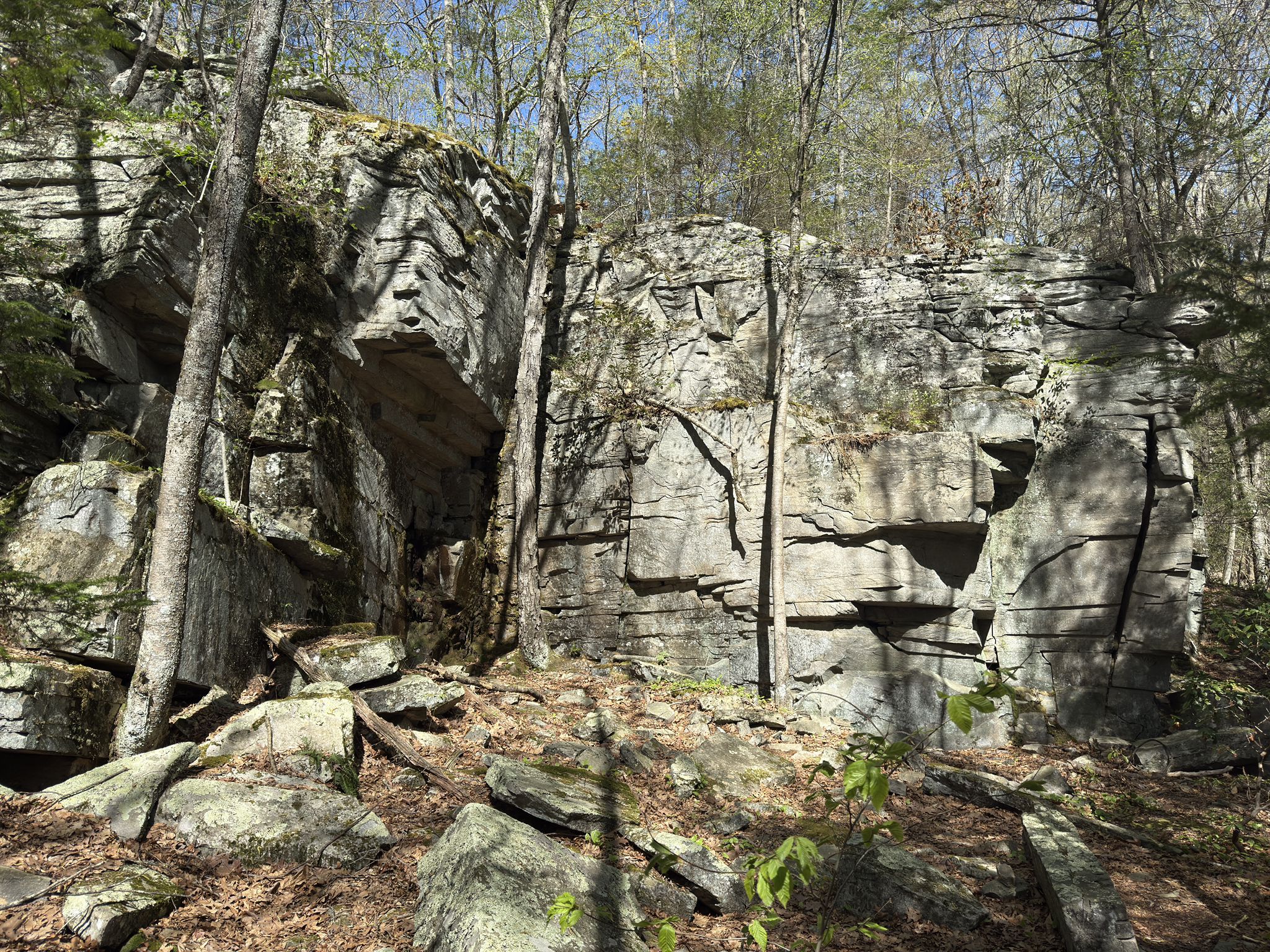 Massive, layered rock formations stand tall within a sunlit forest. - Roxbury Mines