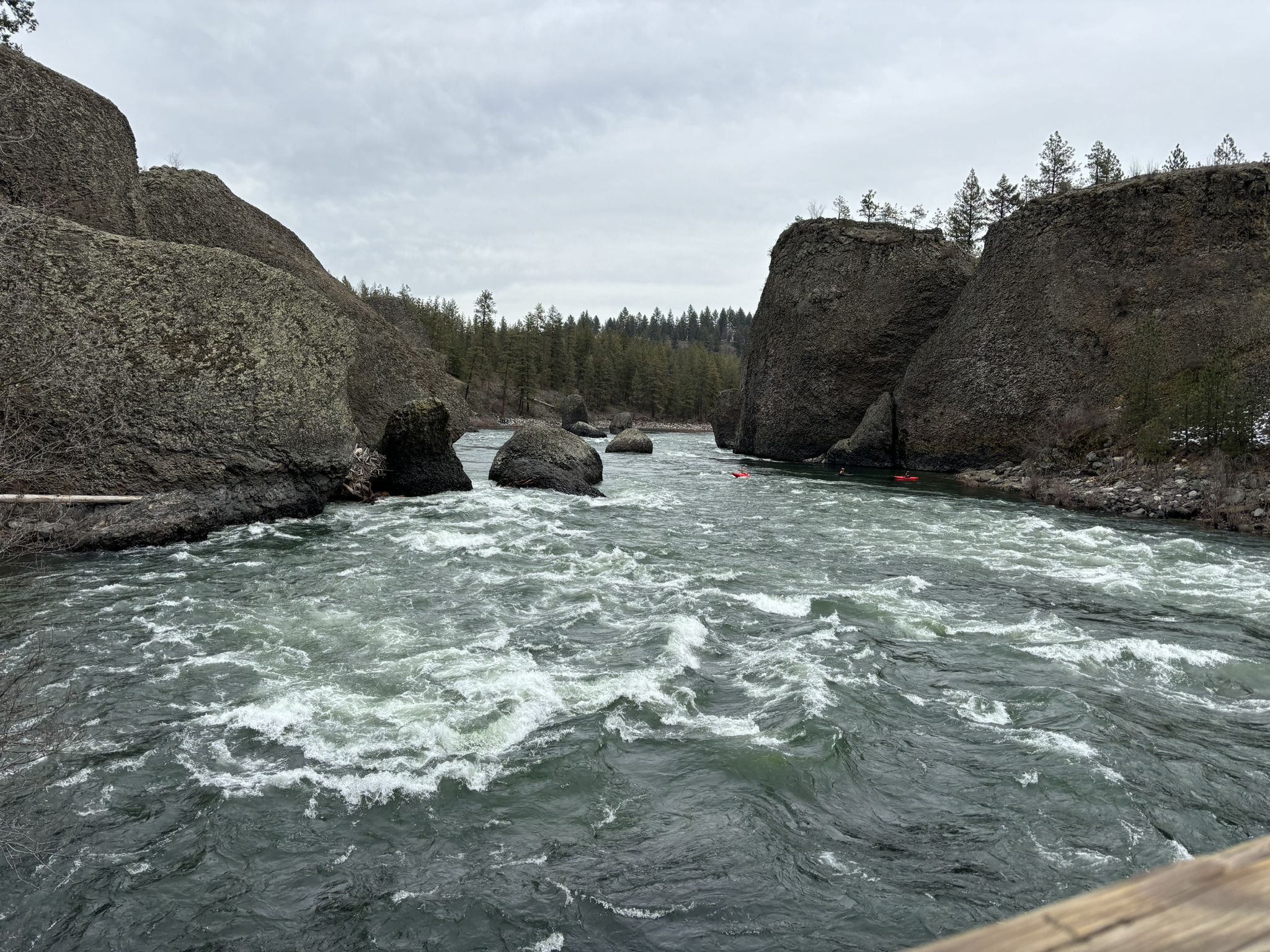 Rushing river between dark rock cliffs under an overcast sky. - Swinging Bridge loop from Romine Conservation Area