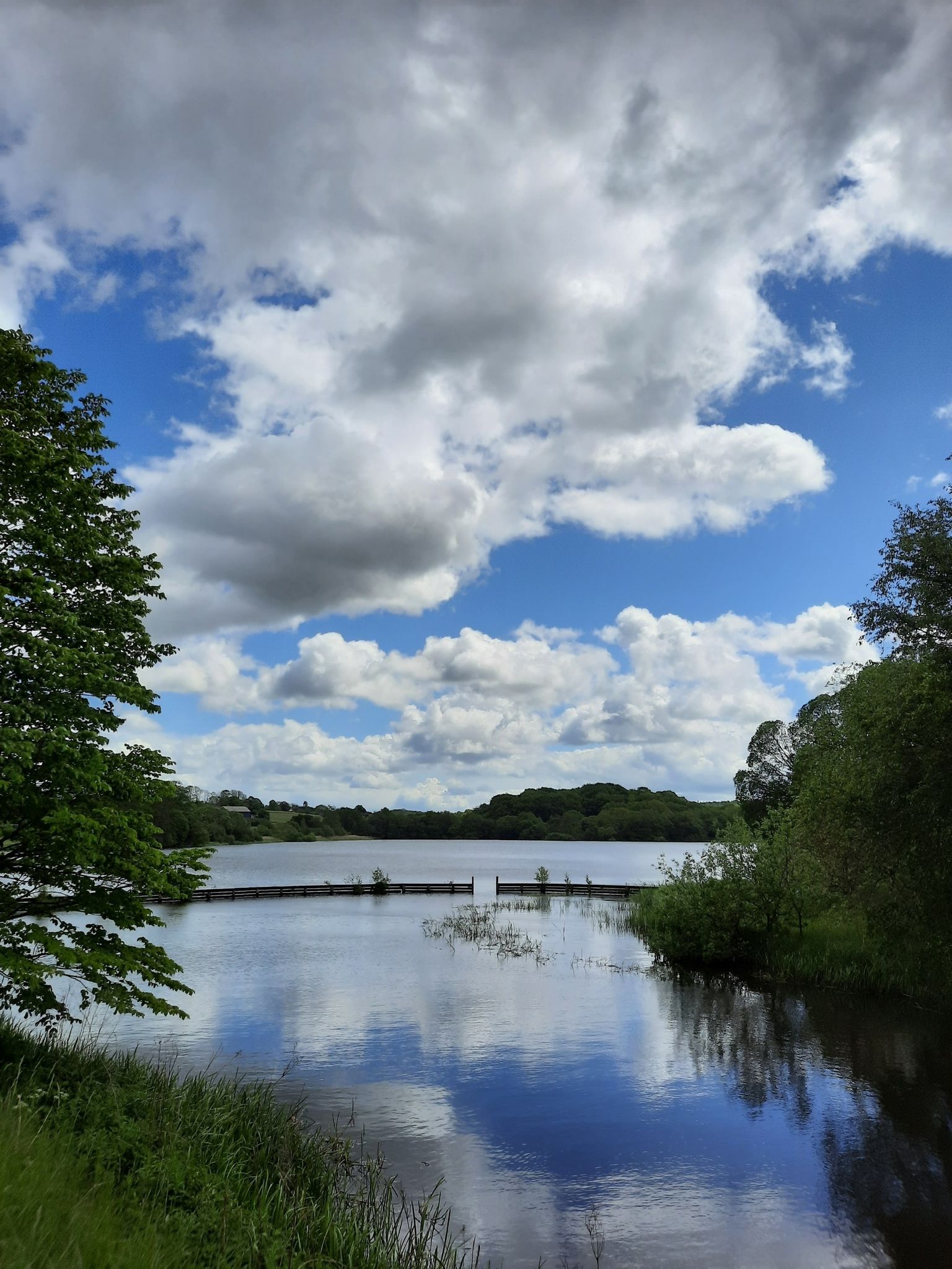 Vestbirk Sø