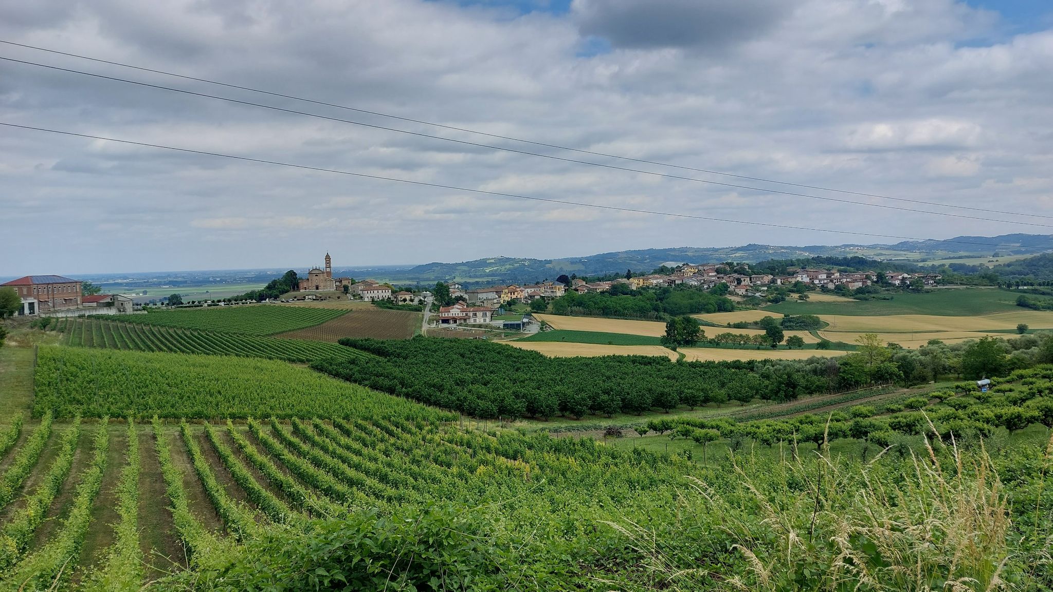 Vista da Camino