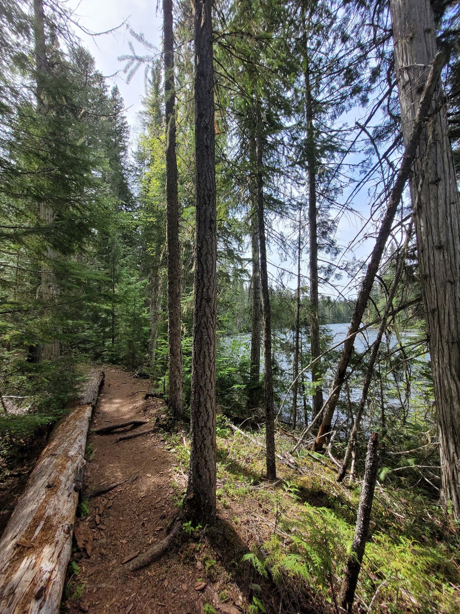 wandelpad naar Helmcken Falls 3 uur heen en terug!