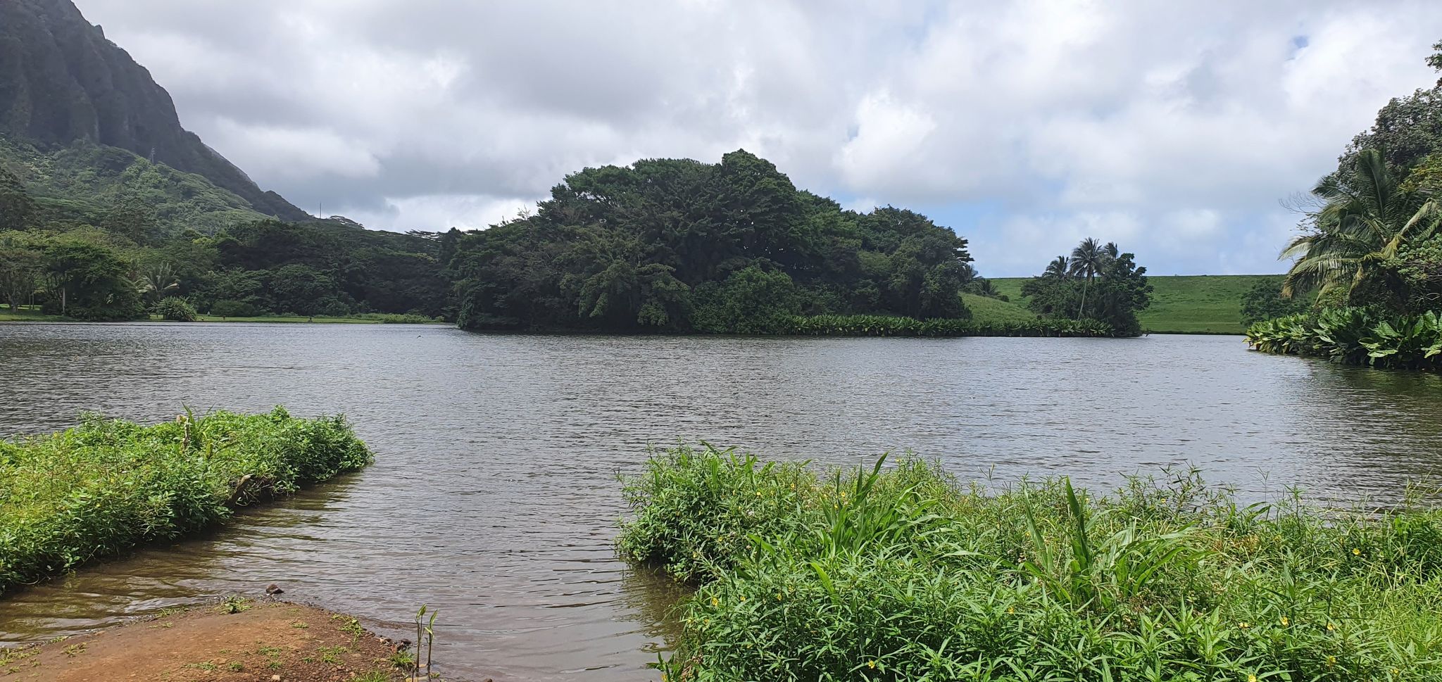 Island in the Lake