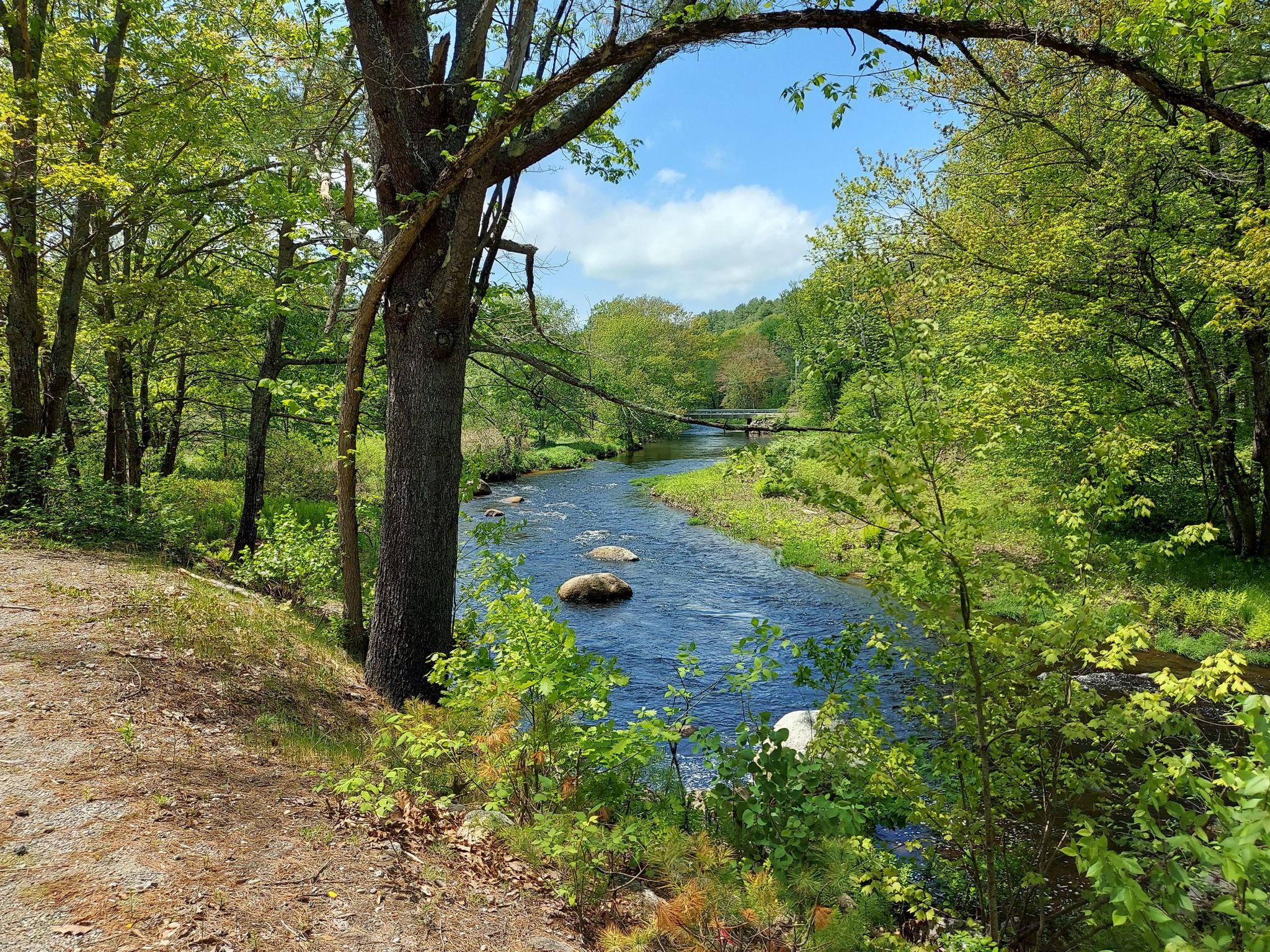 piscataquog river
