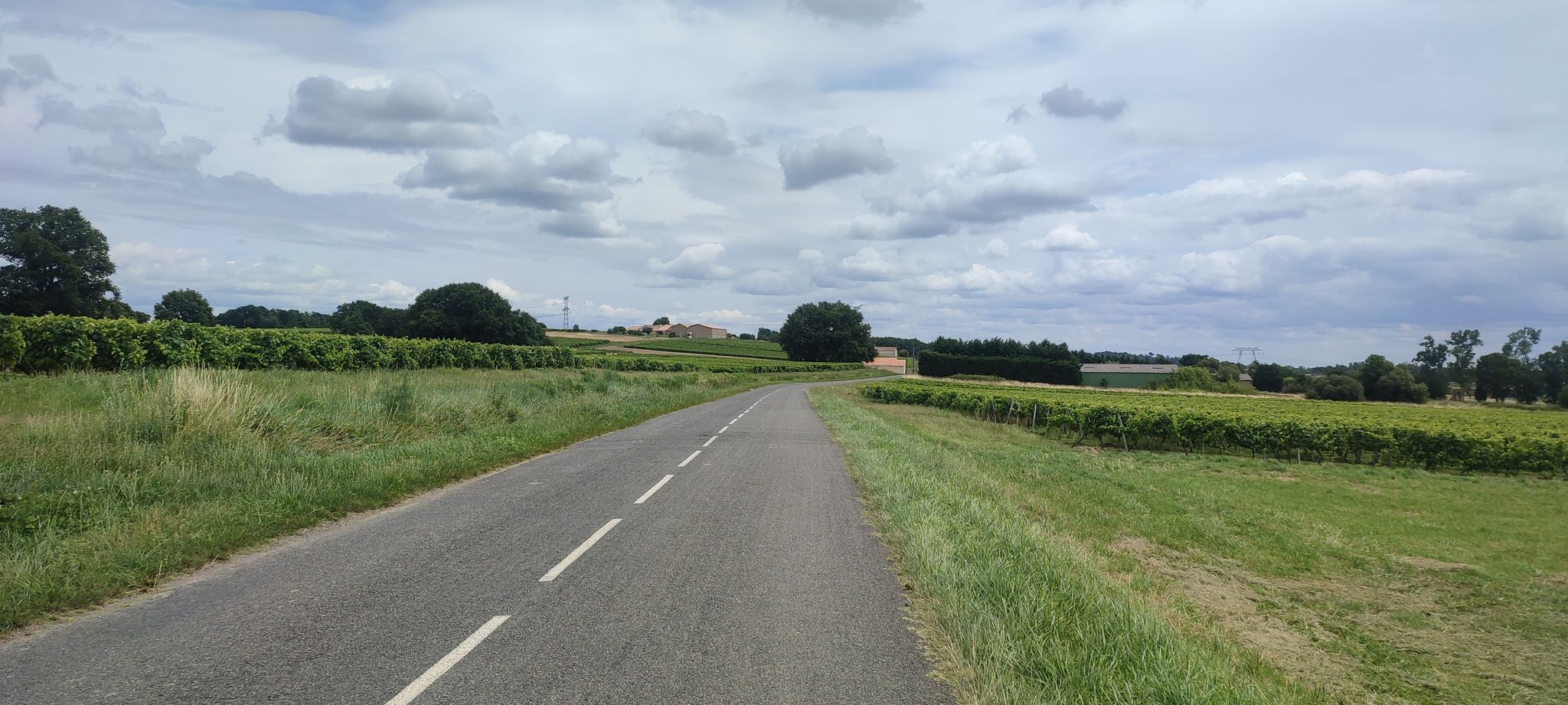 Weinbau ohne Ende