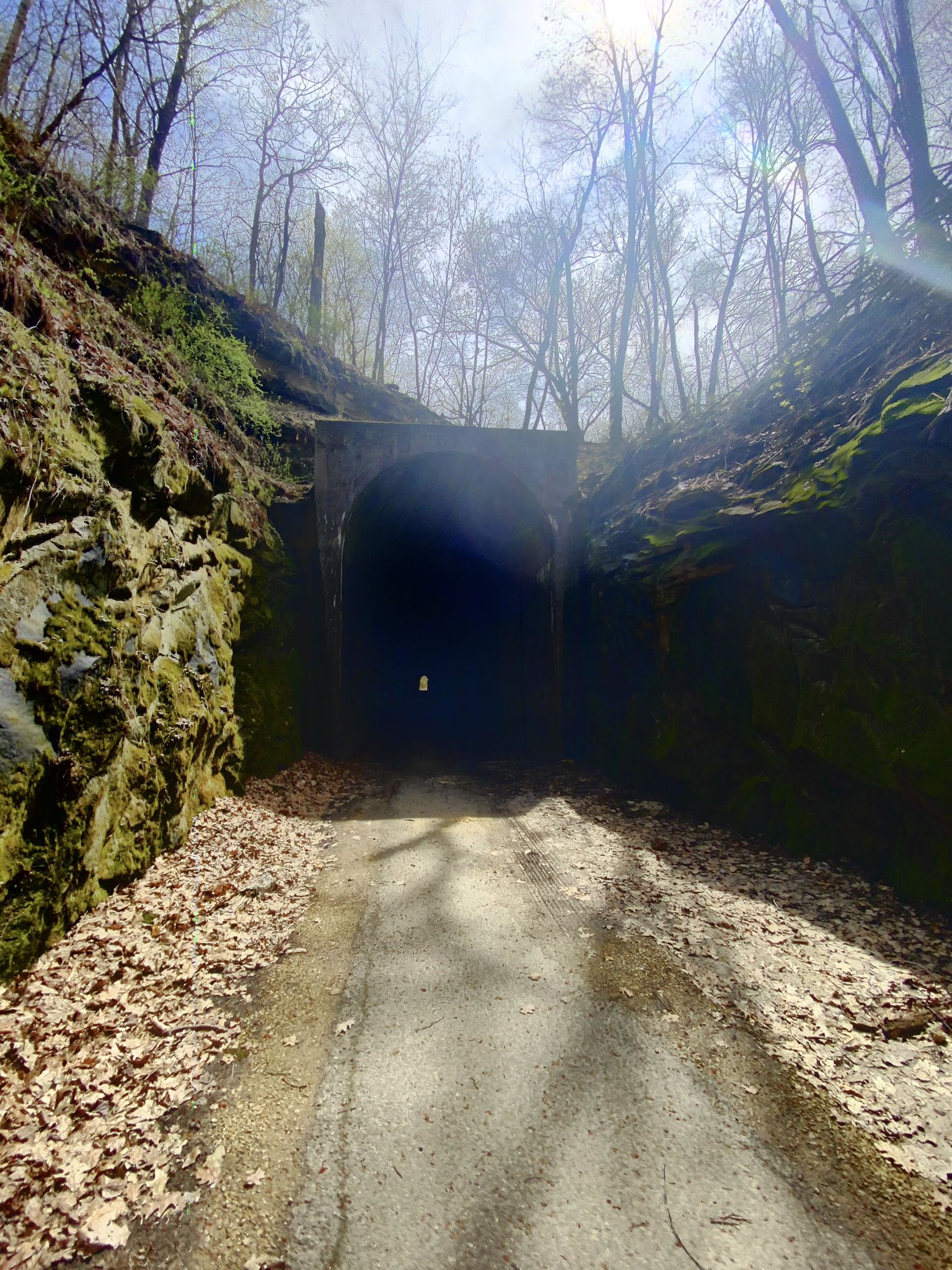 A dark tunnel entrance with light shining through bare trees above. - Omaha Trail