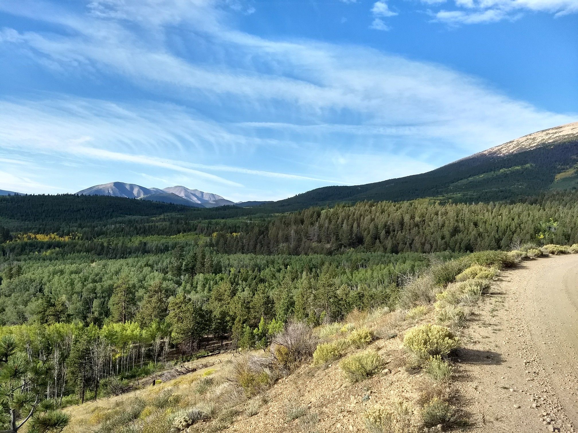 Dirt road overlooking a vast forest and distant mountains under a blue sky. - Marshall Pass and Starvation Creek Loop