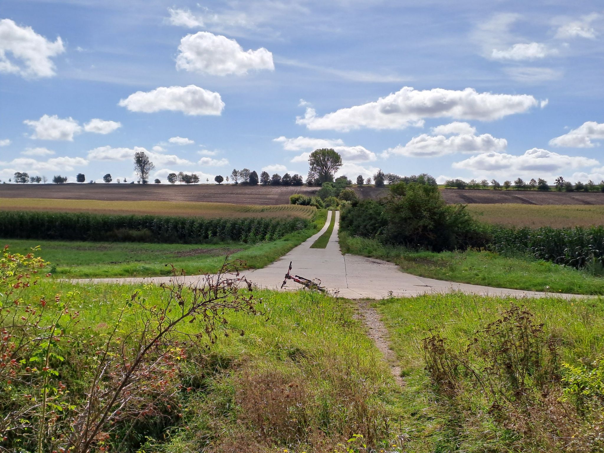 Am Kolonnenweg