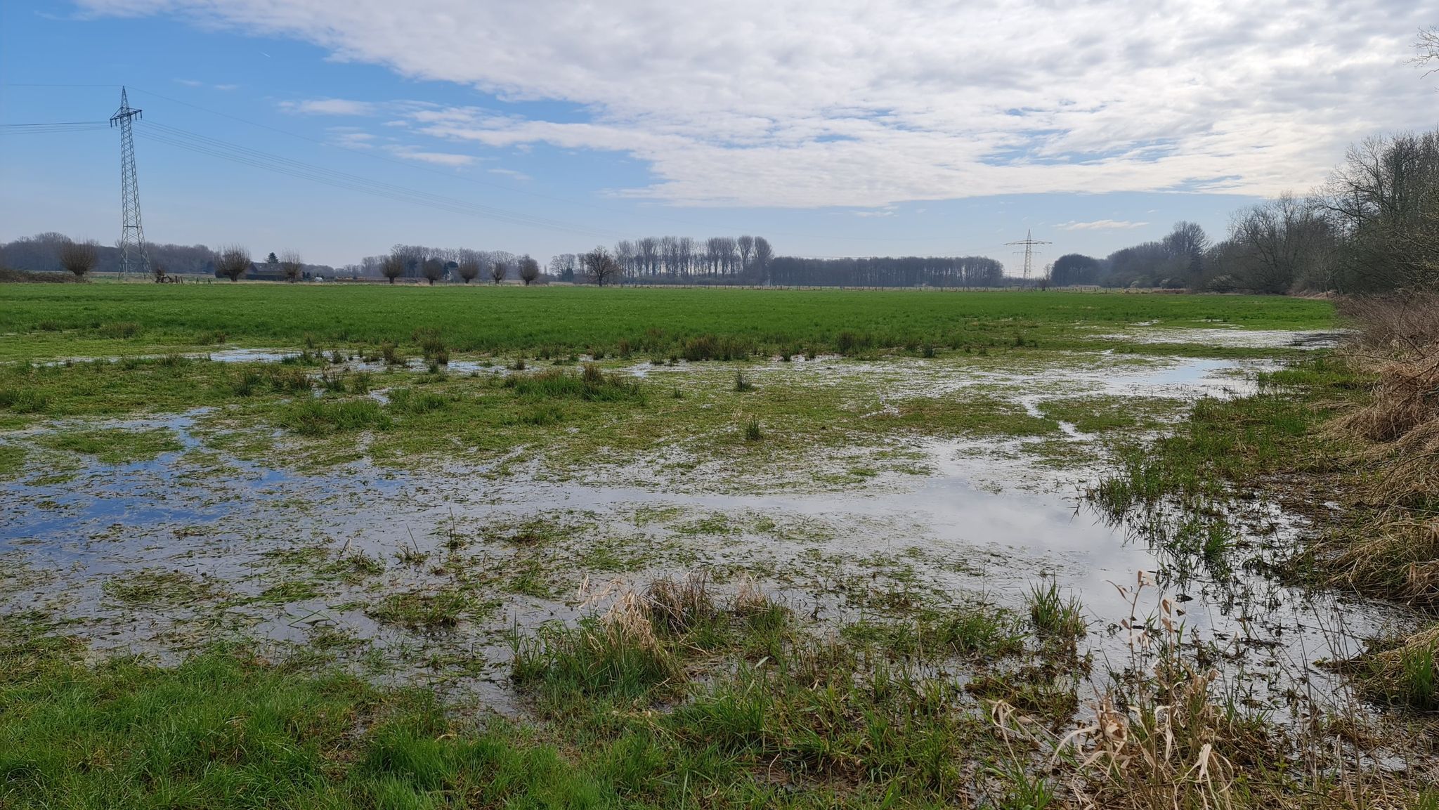 und immer noch stehen viele Wiesen unter Wasser