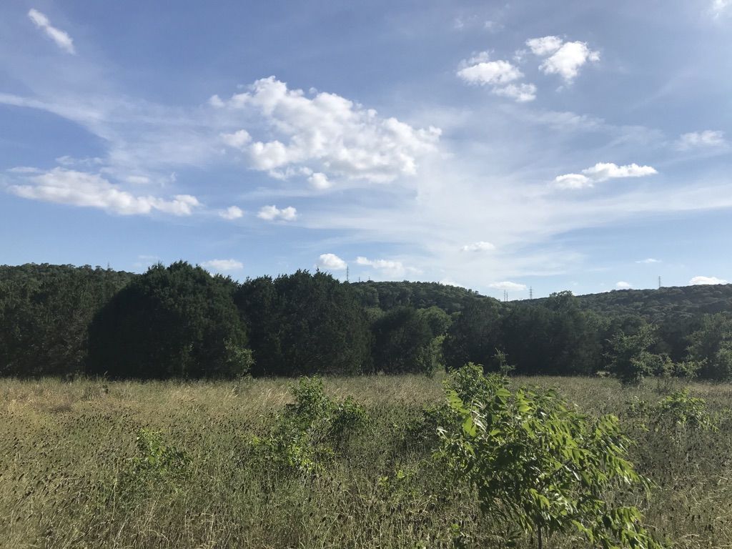 Grassy field with distant green hills and trees under a bright, cloudy sky. - Bull Creek to St. Edward's Park Loop