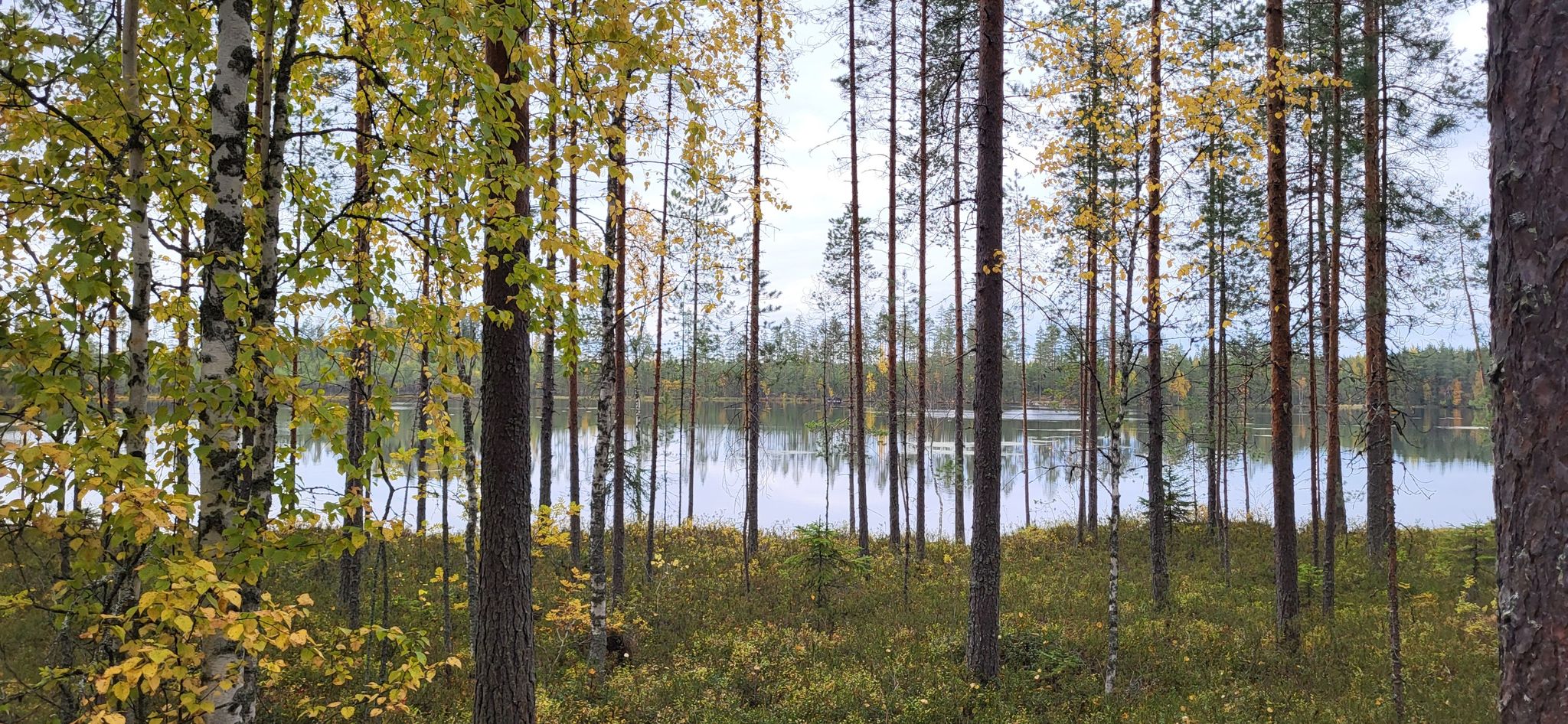Kivilampi