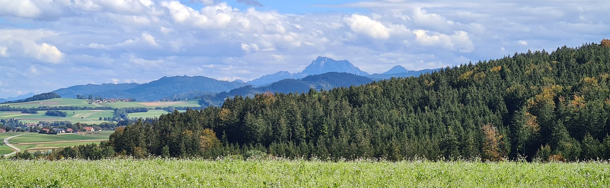 Blick zum Traunstein