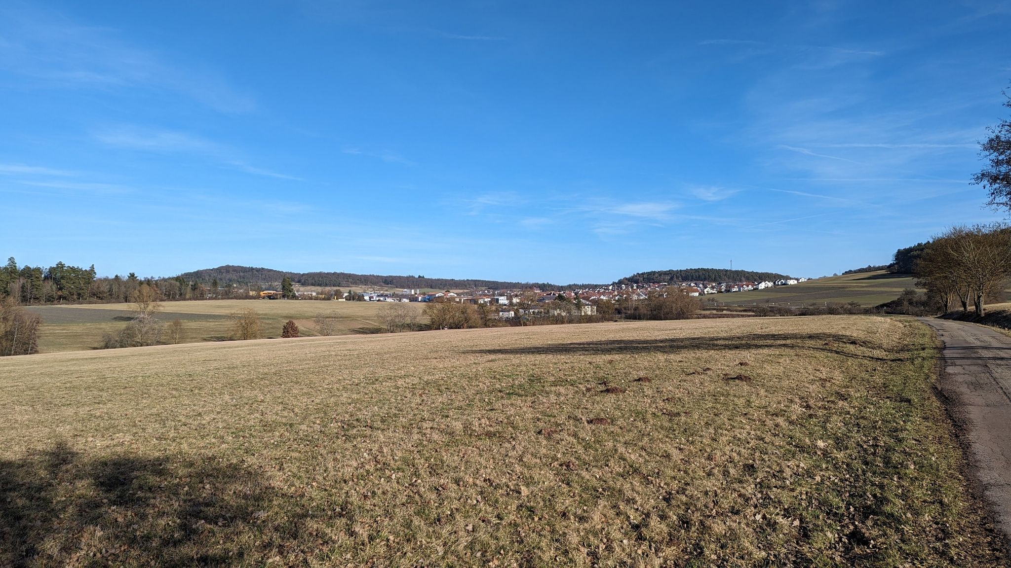 Blick auf Althengstett