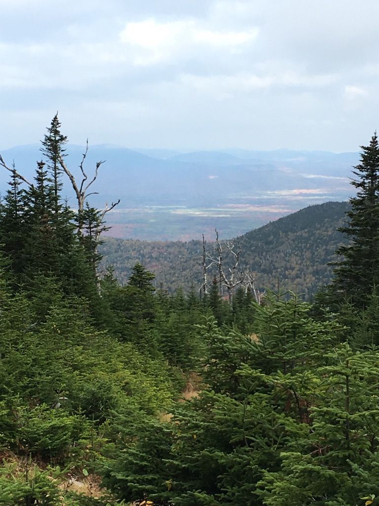 Mountain vista through dense evergreen forest, hazy valley in the distance. - Mount Redington via Appalachian Trail
