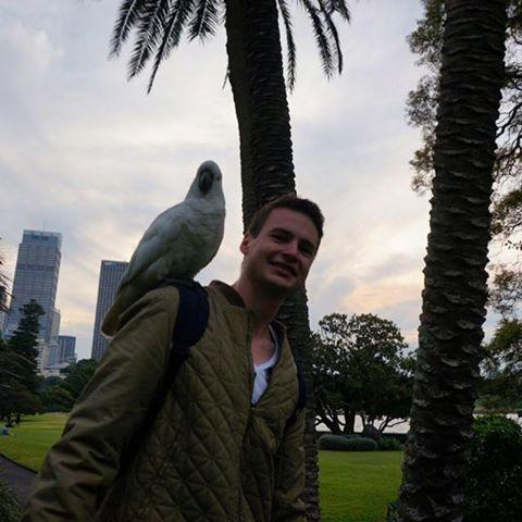 user avatar