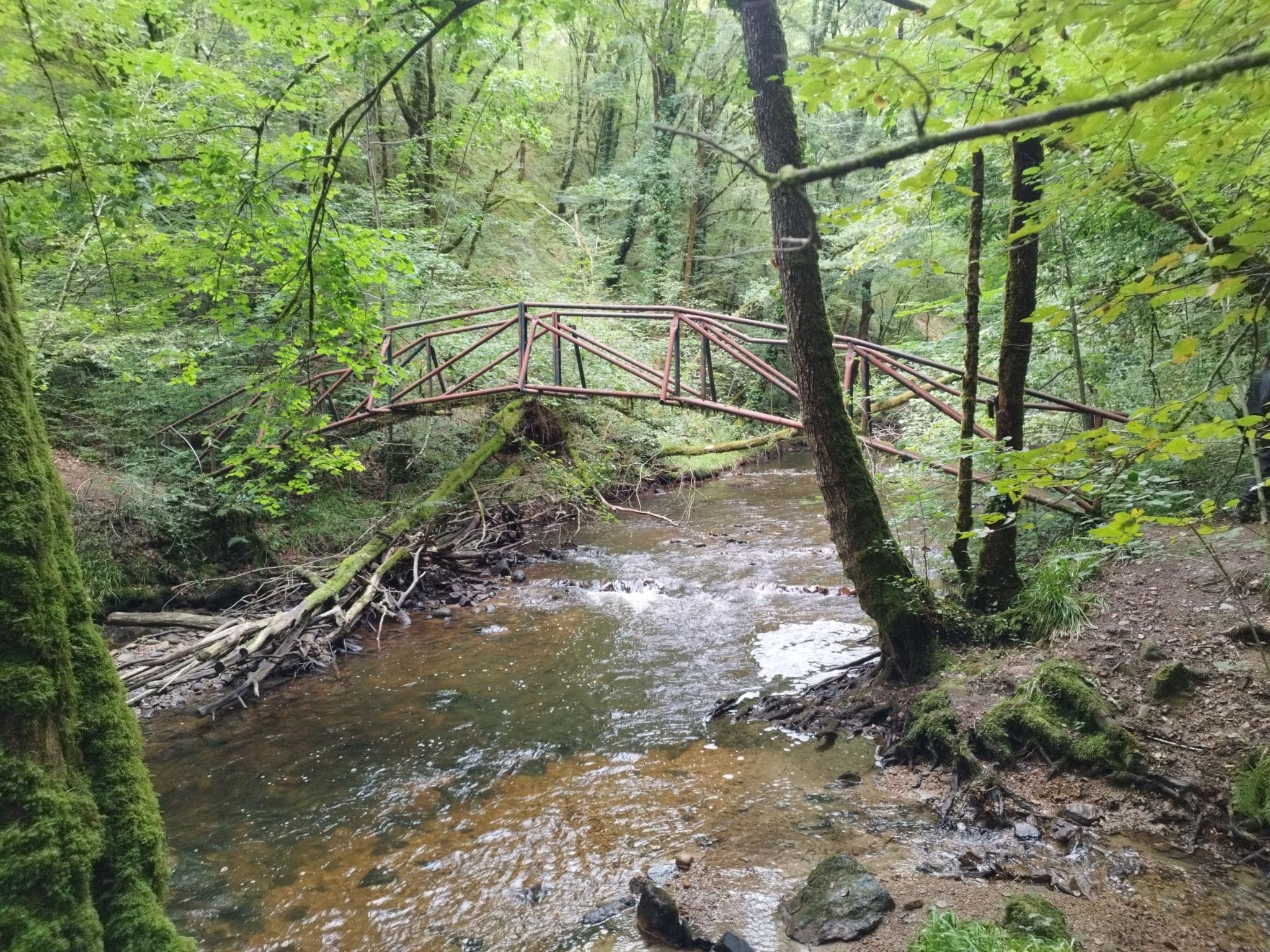 Außergewöhnliche Brücke aus Metall