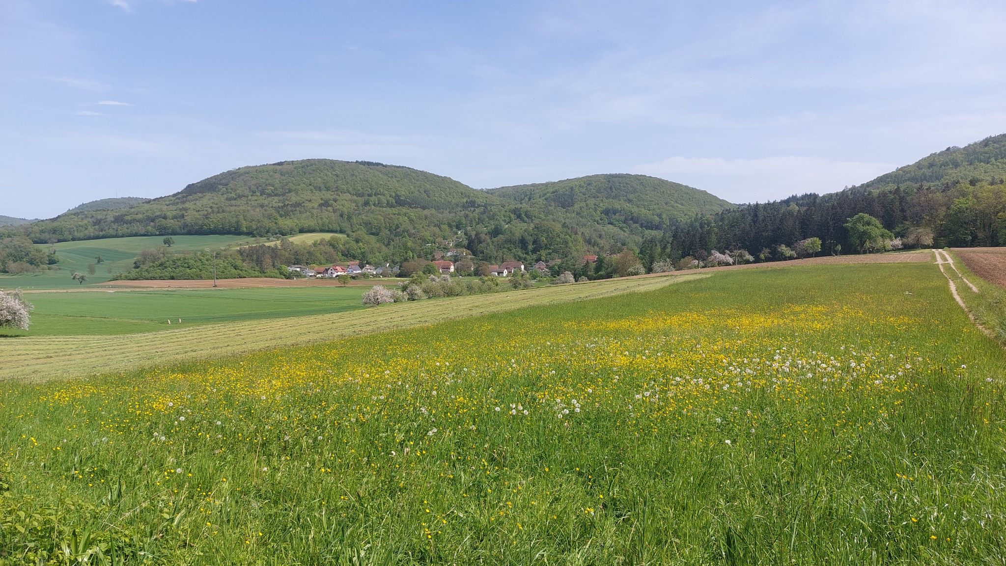 Blick zurück nach Weisweil