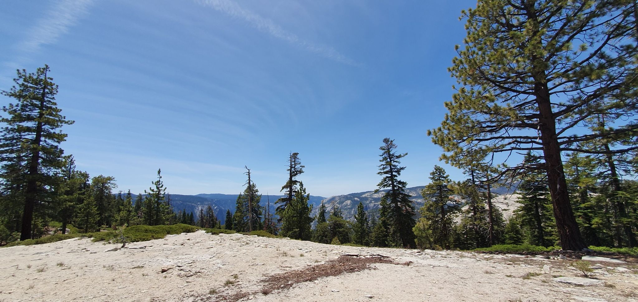 Forest edge overlooking a vast valley under a clear blue sky. - North Dome Trail