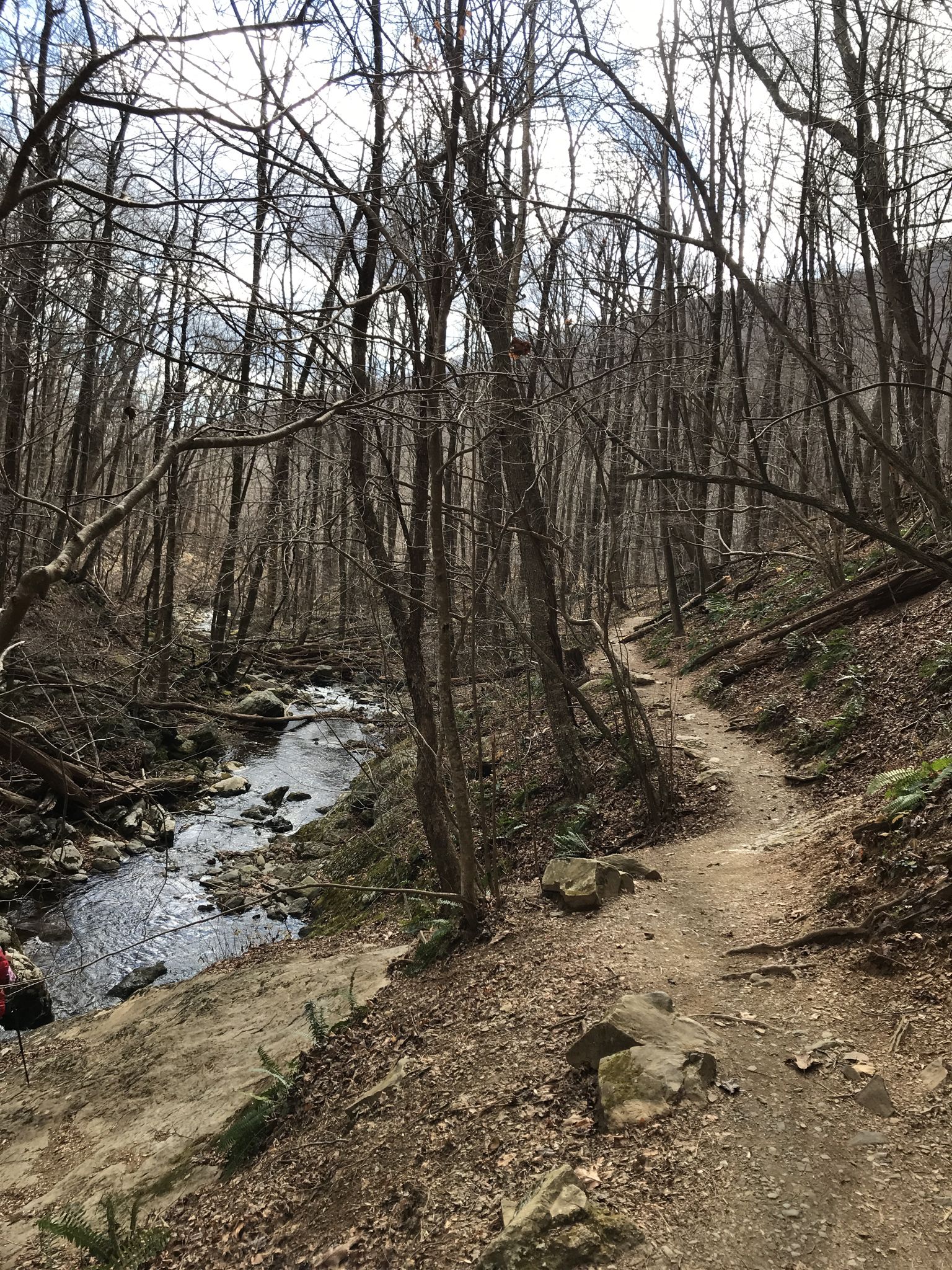 Narrow dirt path alongside a rocky stream in a bare winter forest. - Rose River Loop Trail