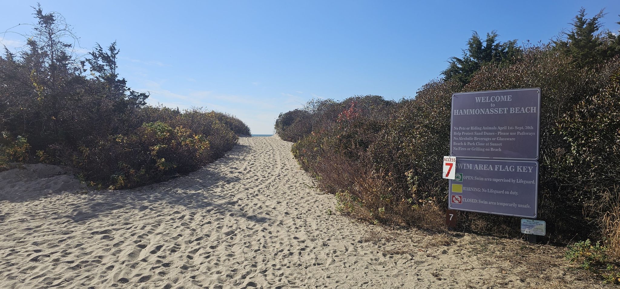 Sandy path through coastal vegetation leading to a bright beach. - Hammonasset Beach State Park – Hammonasset Beach loop from Hammonasset Beach State Park