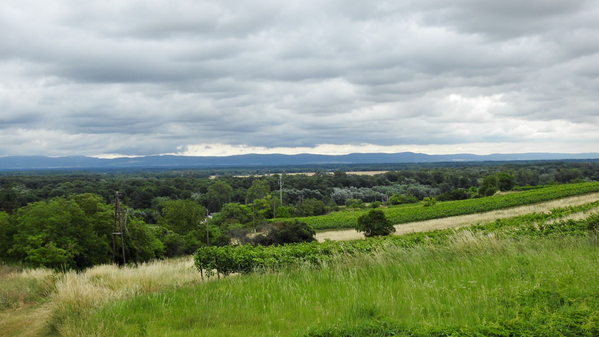 Blick in die Slowakei