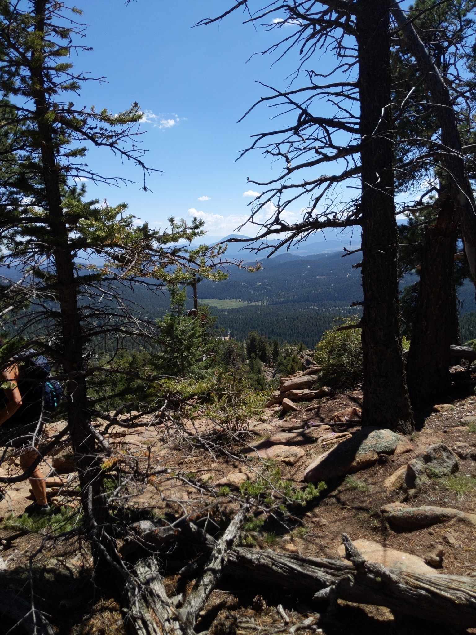 Person hiking a rocky, forested mountain trail on a bright, sunny day. - Old Mill and Bugling Elk Trail