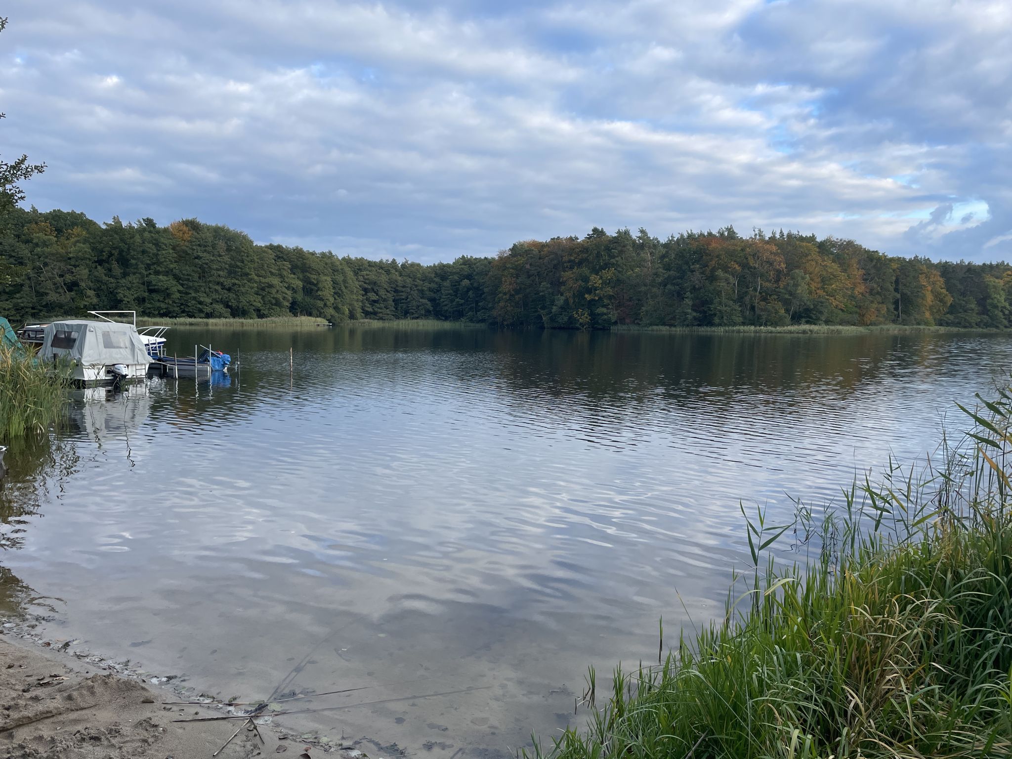 Gleuensee