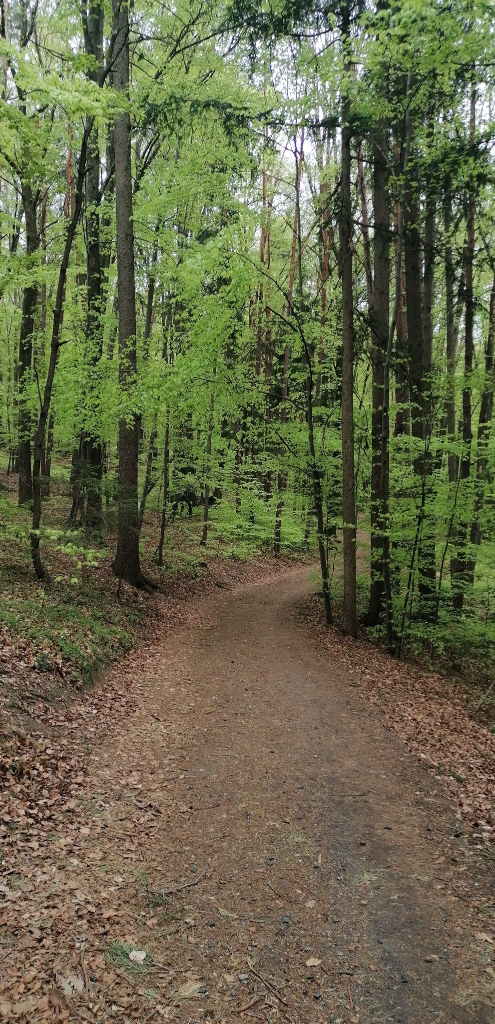 Loipersdorf 
