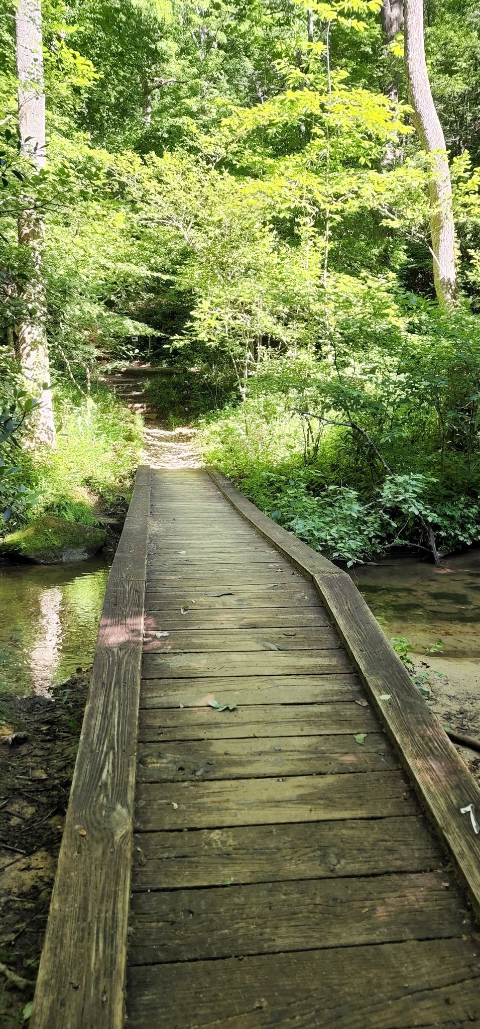 A wooden footbridge crosses a small stream in a lush green forest. - Appalachian Approach Trail