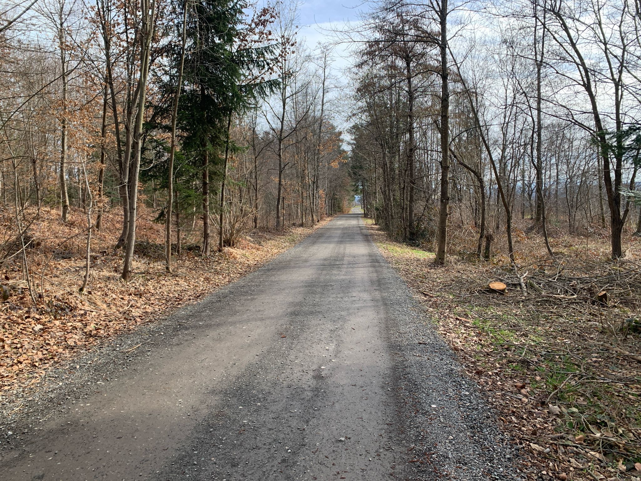 Rad-/Wanderweg nach Stainz