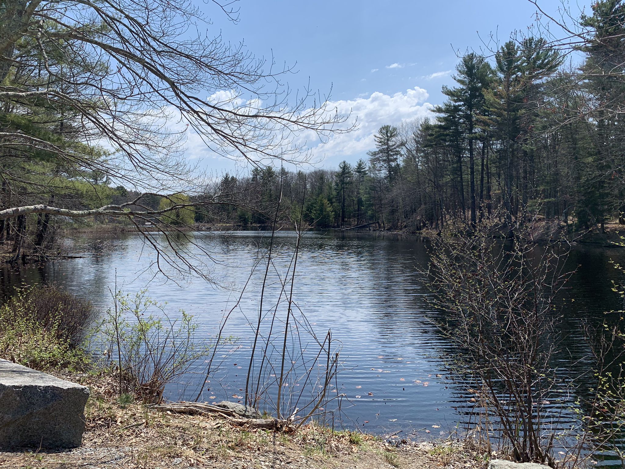 A calm lake surrounded by trees under a partly cloudy sky. - Harvard loop from Cambridge