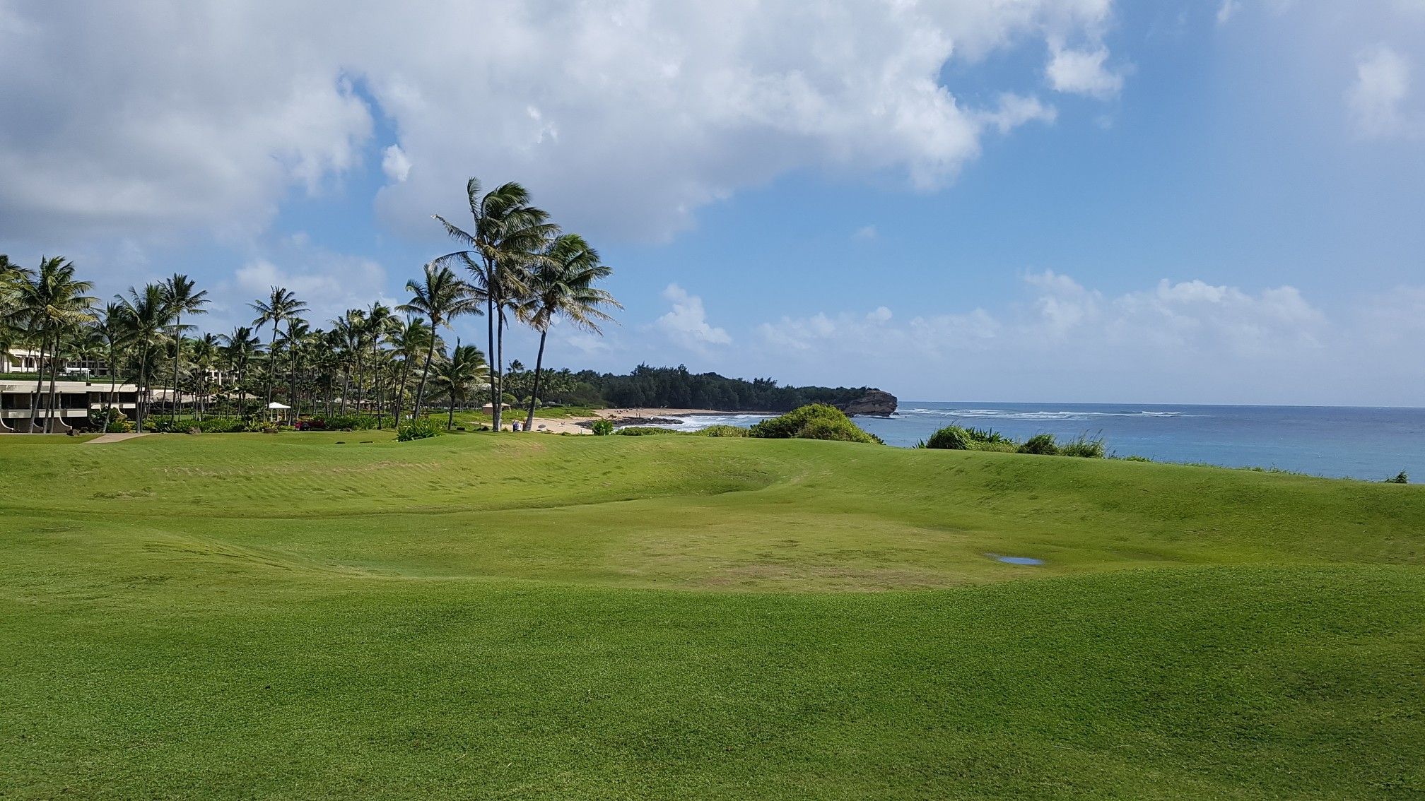 Green golf course overlooking the ocean with palm trees and distant buildings. - Kāneiʻolouma Heiau – Poʻipū Beach loop from Pihakekua