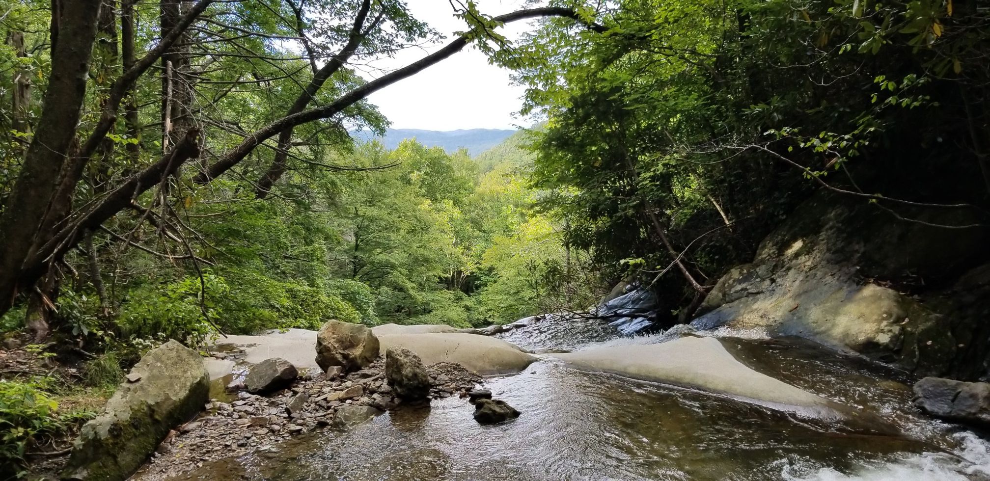 Stream flowing over rocks in a lush green forest with distant mountains. - Glen Burney Trail