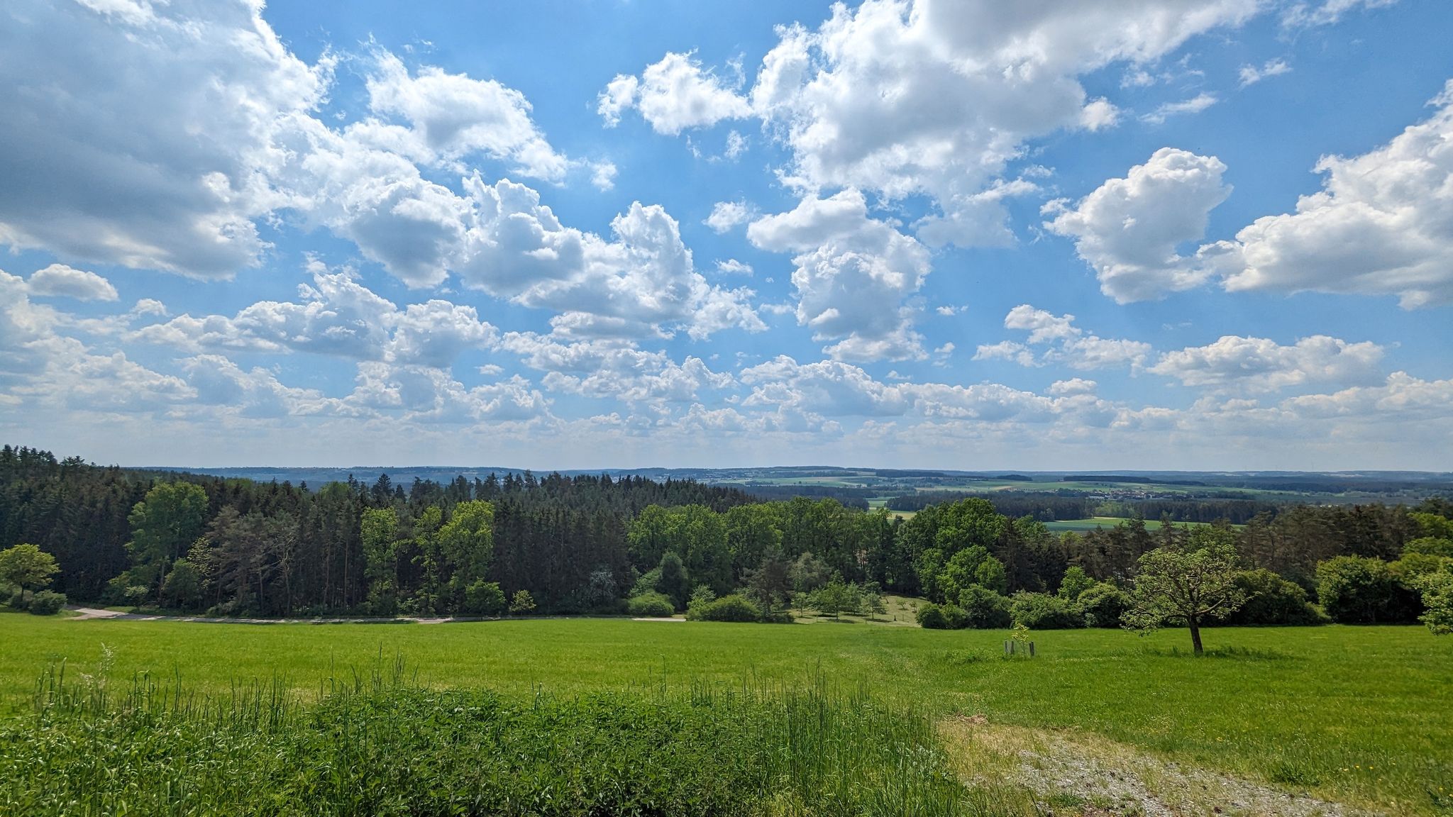 ... diese Aussicht.