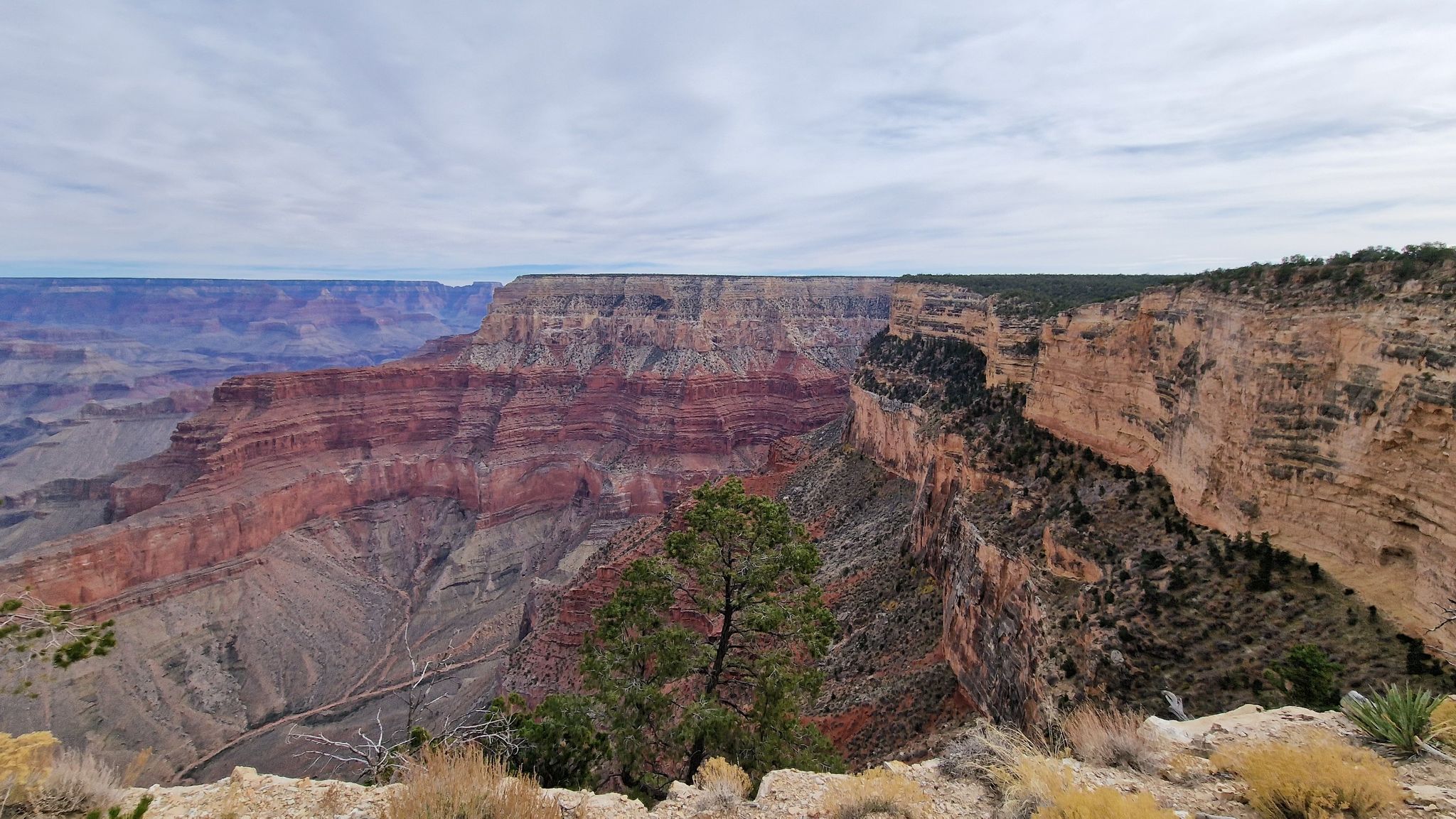 Wide view of a vast, layered canyon under an overcast sky. - Rim Trail