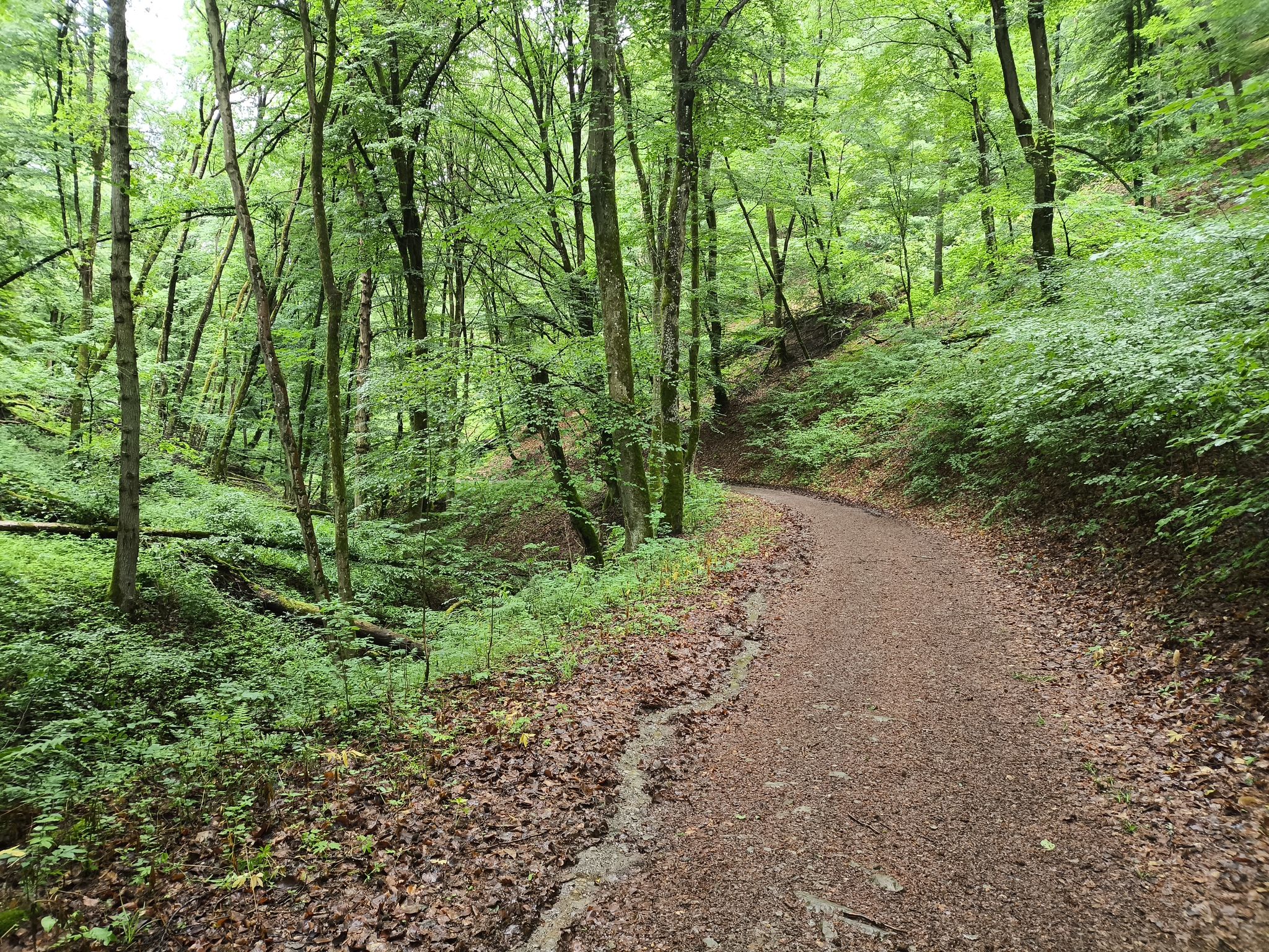 ganz gemütlicher Weg